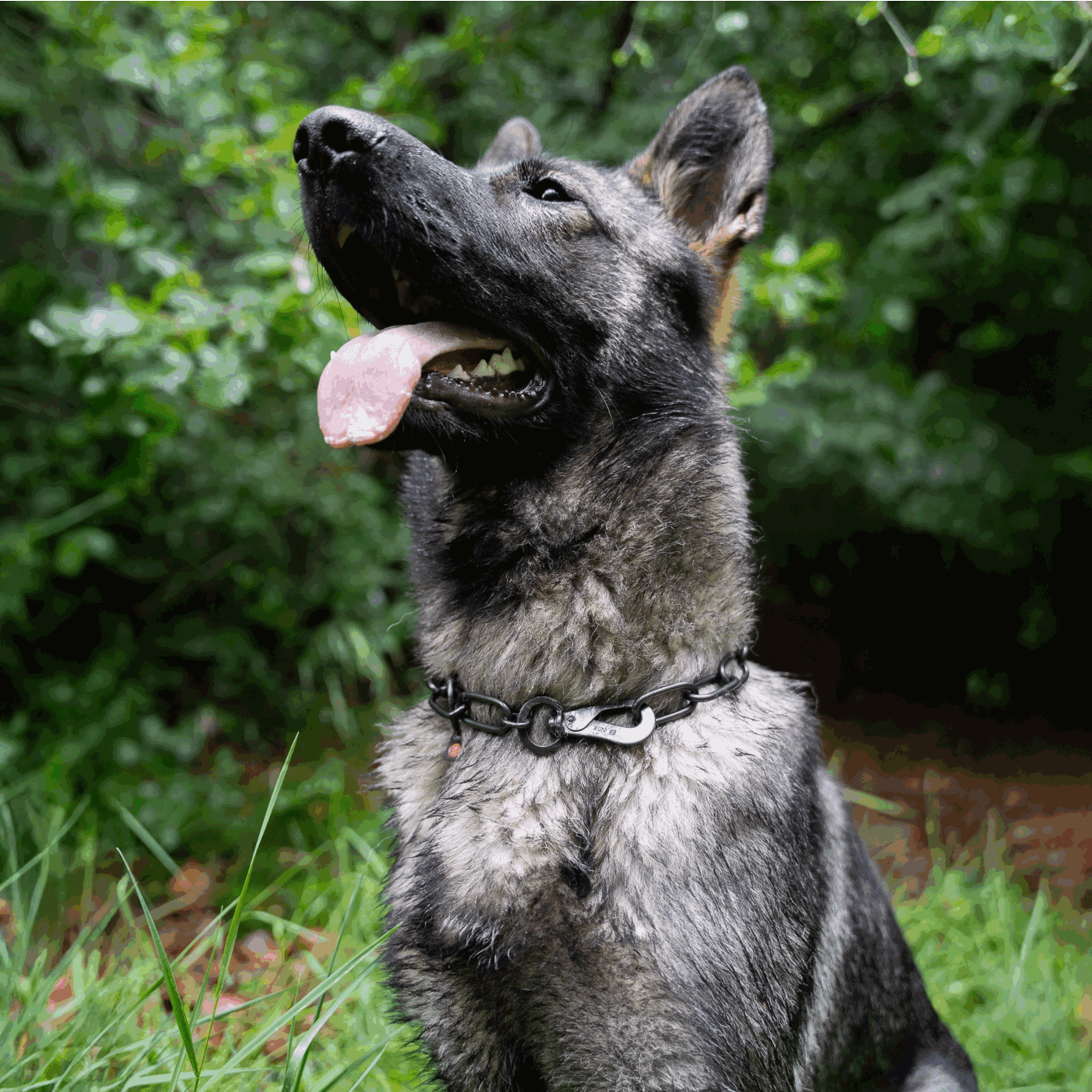 Halskette langgliedrig verstellbar mit SPRENGER Haken Edelstahl Rostfrei schwarz 4 mm | 51602-57_5.png