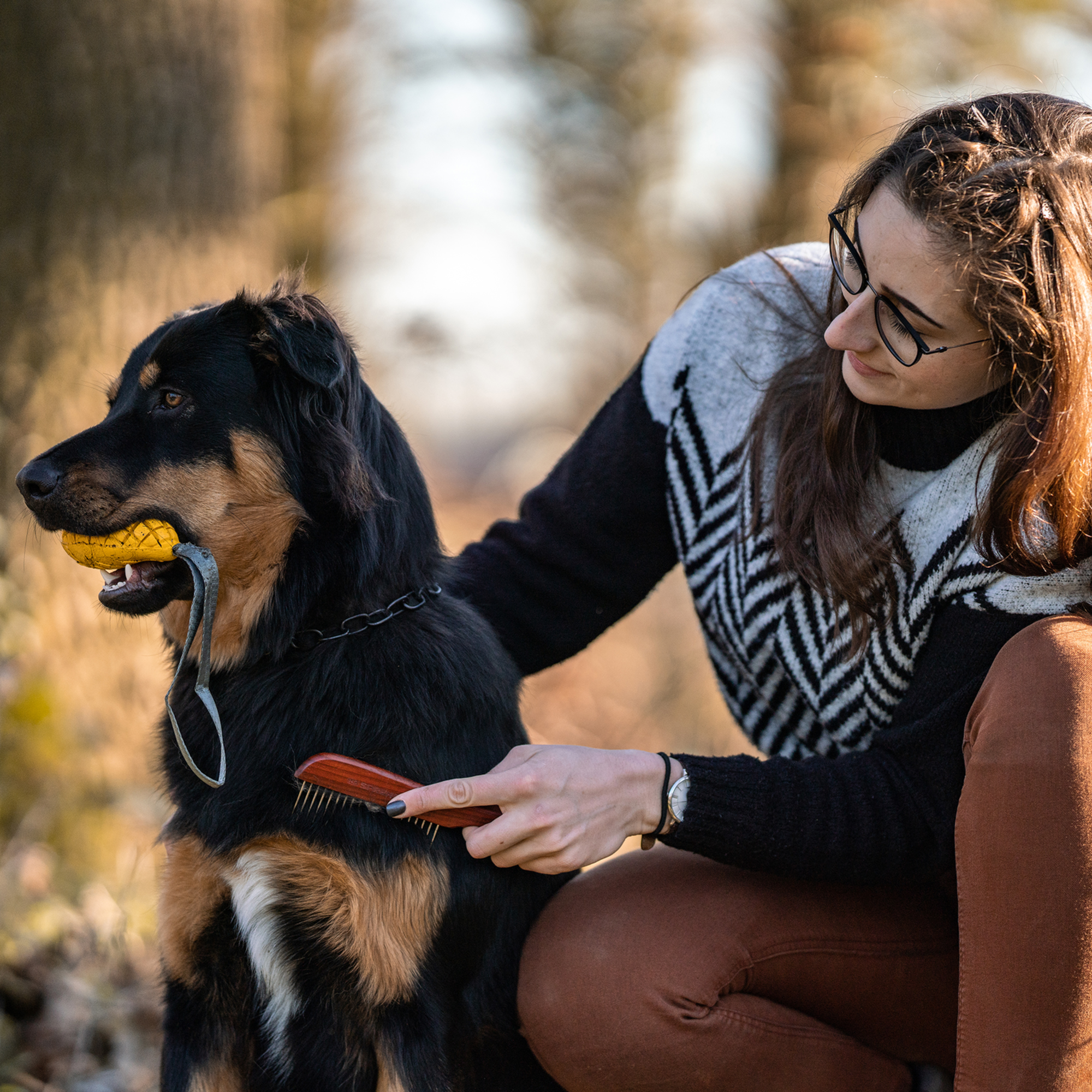 Hundekamm 230 x 25 mm 30 mm Stahlzinken | 5675000100_5.png