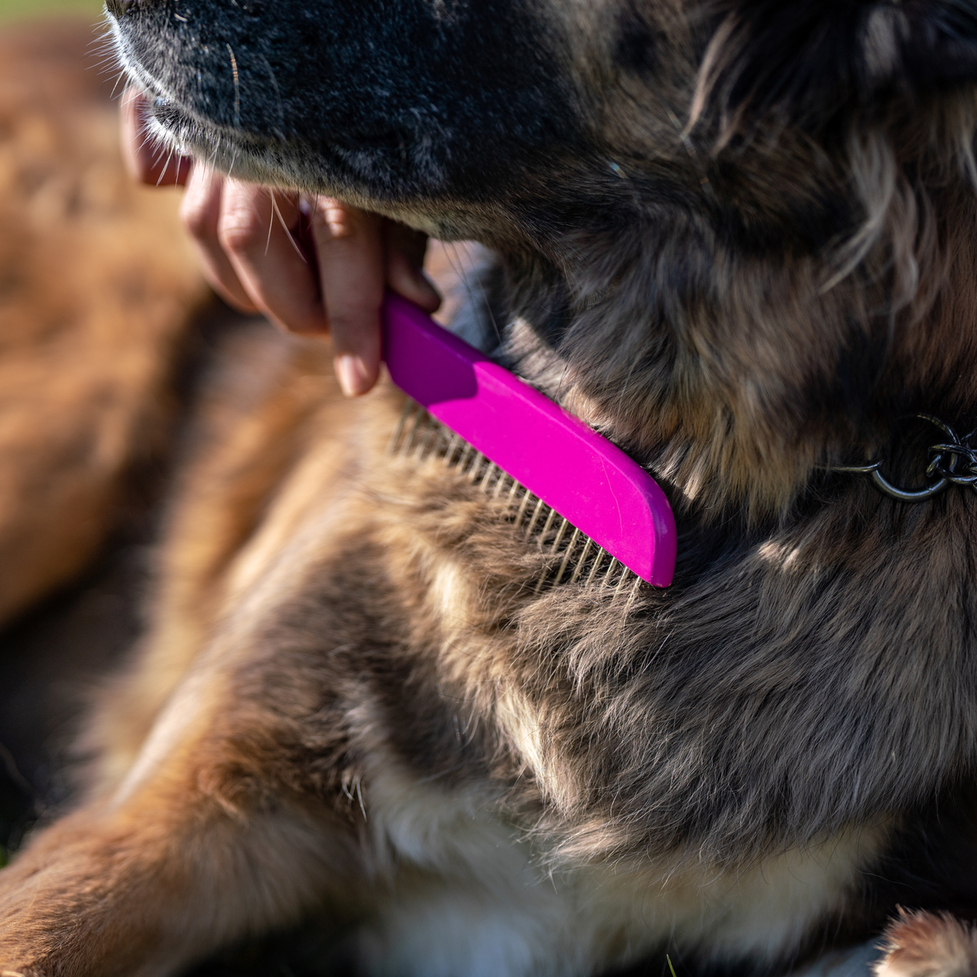 Hundekamm 230 x 25 mm 30 mm Stahlzinken Holz Pink | 5675010001_3.png