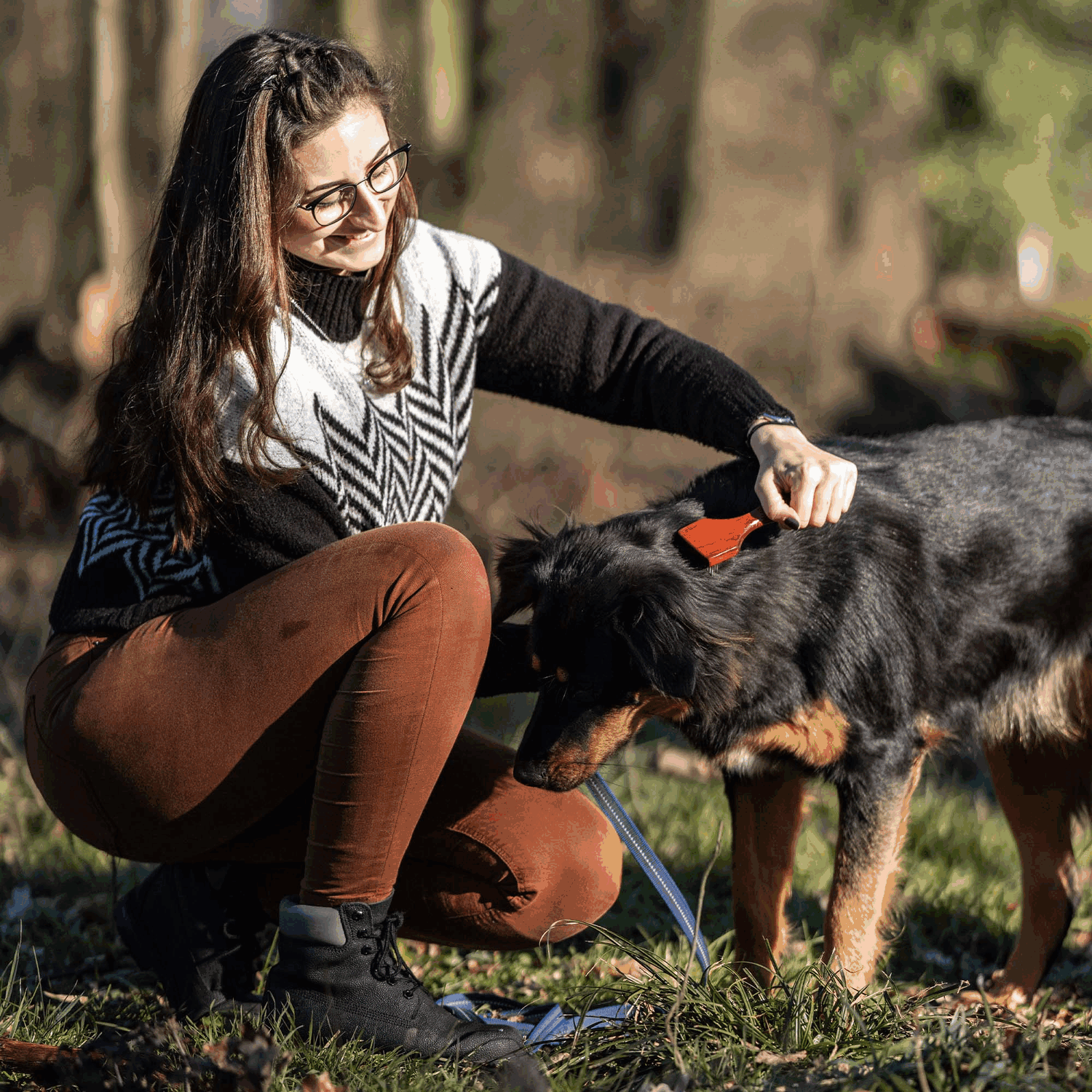 Hundekratzer 2 reihig 20 mm Stahlzinken | 5705200100_3.png | 1731103529