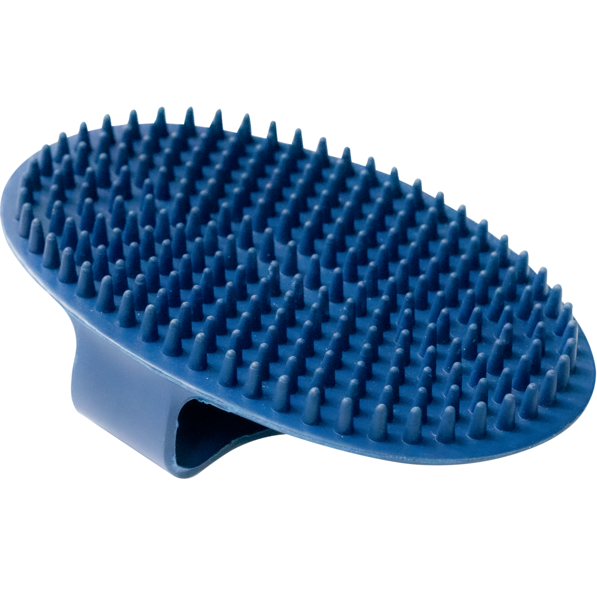 Striegel oval Gummi blau 150 x 100 mm | 5713200076.png
