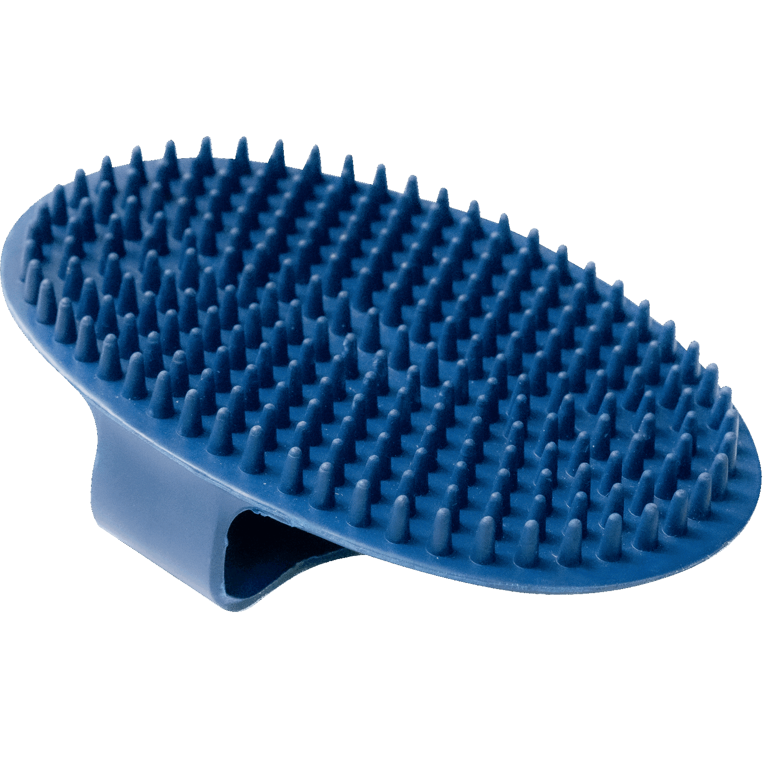 Striegel oval Gummi blau 150 x 100 mm | 5713200076.png | 1731103541