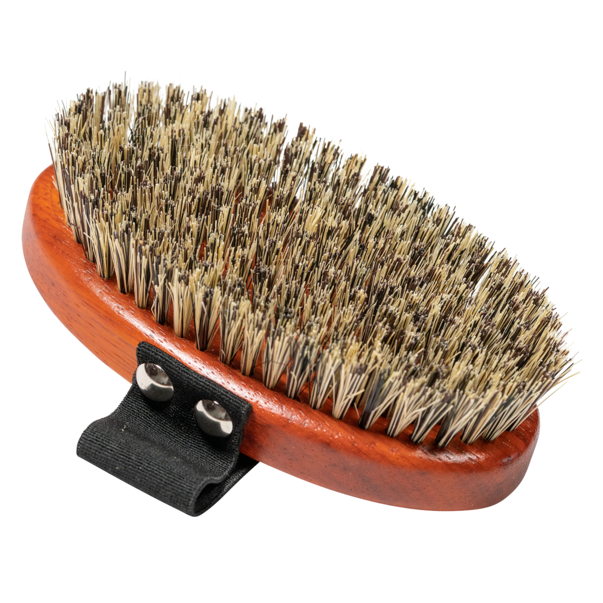 Hundebürste oval Naturborsten | 5725100100.png