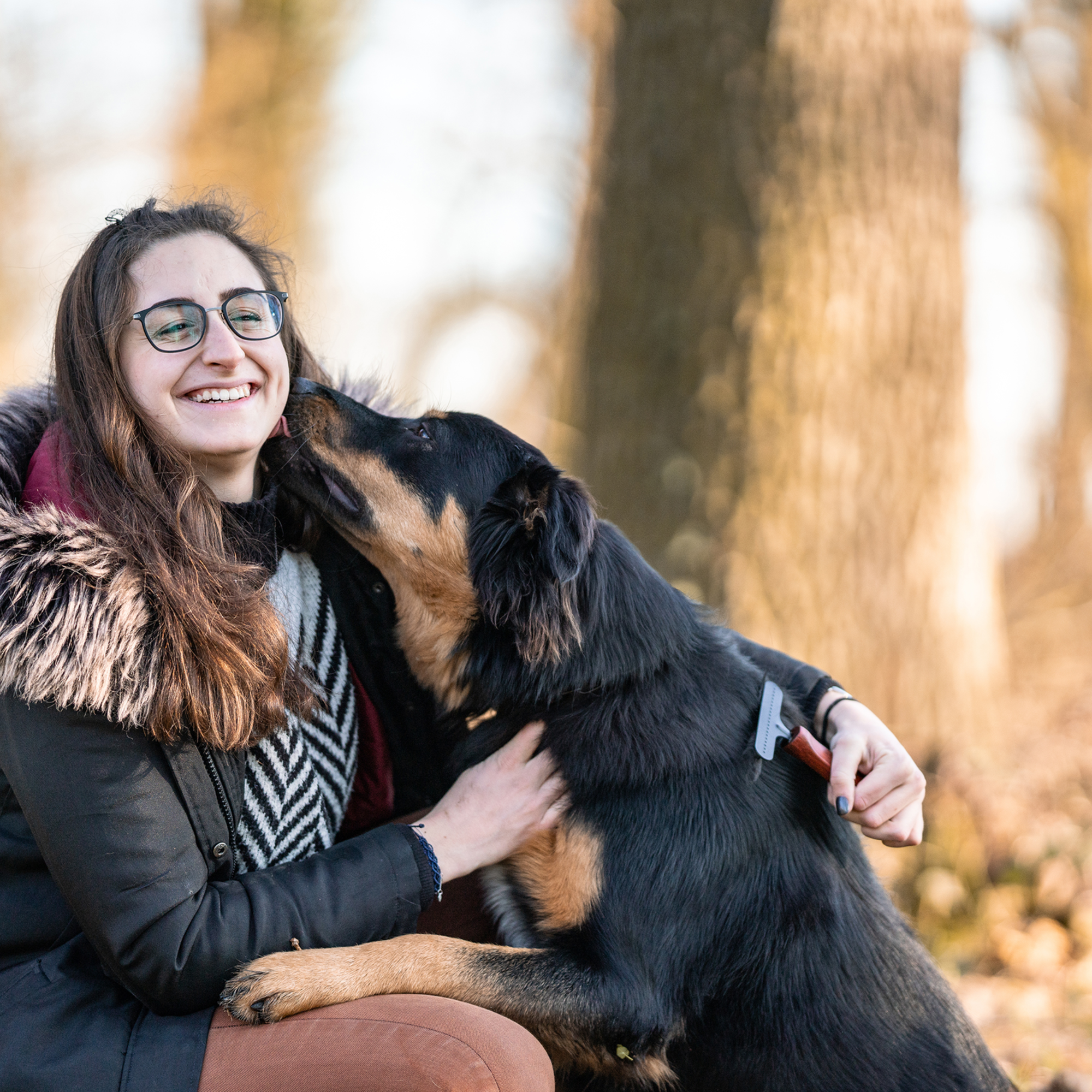 Hundekratzer Stahl beschichtet 1 reihig | 5759200100_2.png