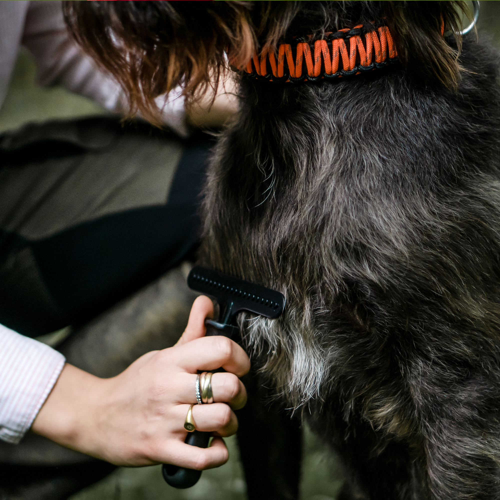 Hundekratzer Stahl beschichtet 1 reihig | 57592_00-2.png