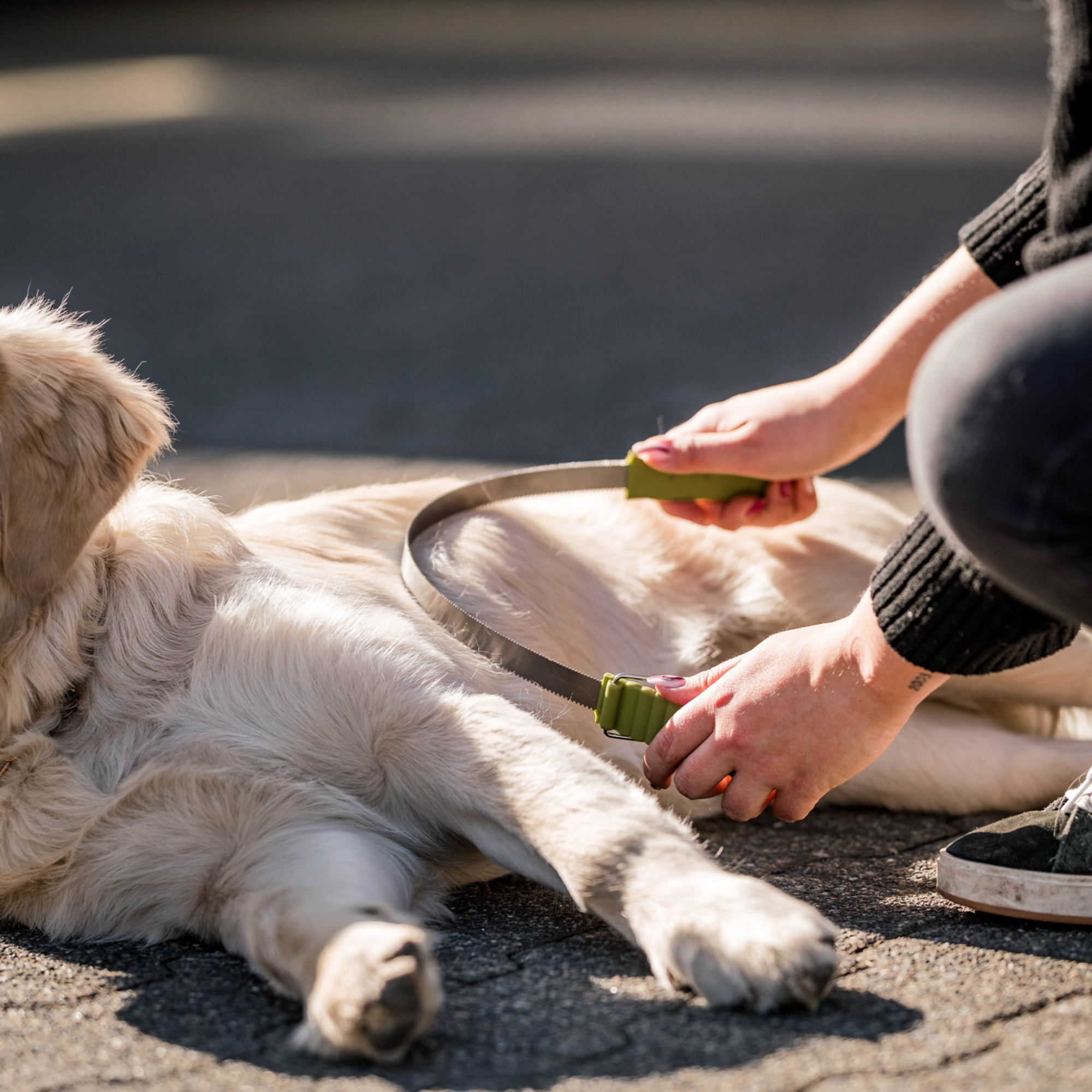 Safari® Doppelseitige Unterwollharke Hunde | 5790000673_1.png