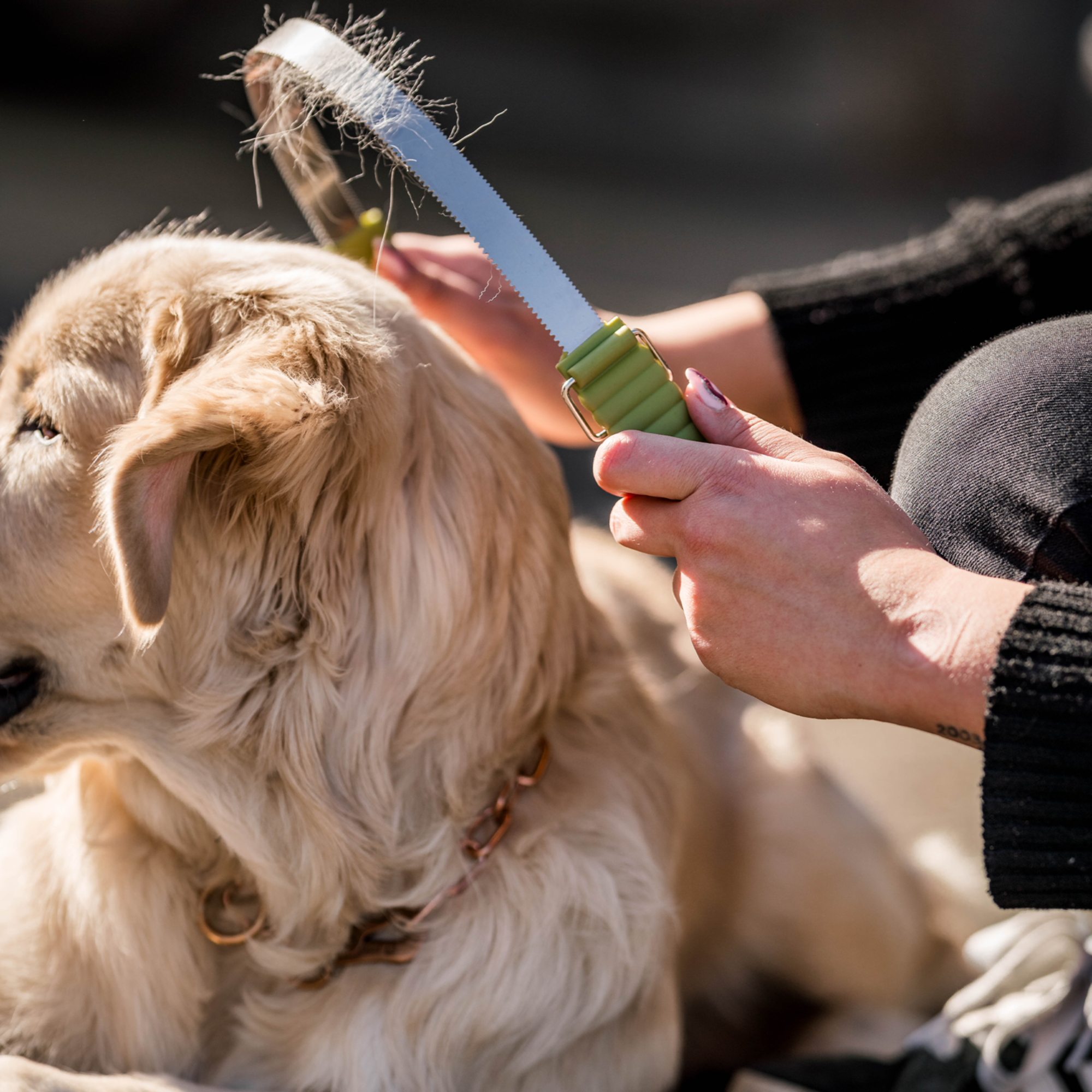 Safari® Doppelseitige Unterwollharke Hunde | 5790000673_2.png