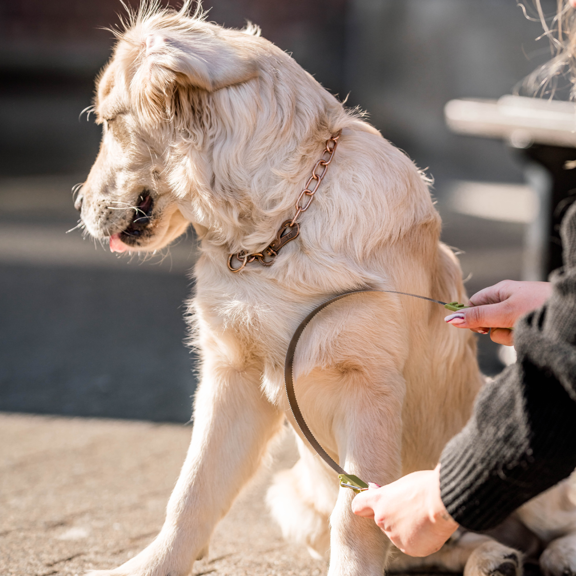 Safari® Doppelseitige Unterwollharke Hunde | 5790000673_3.png