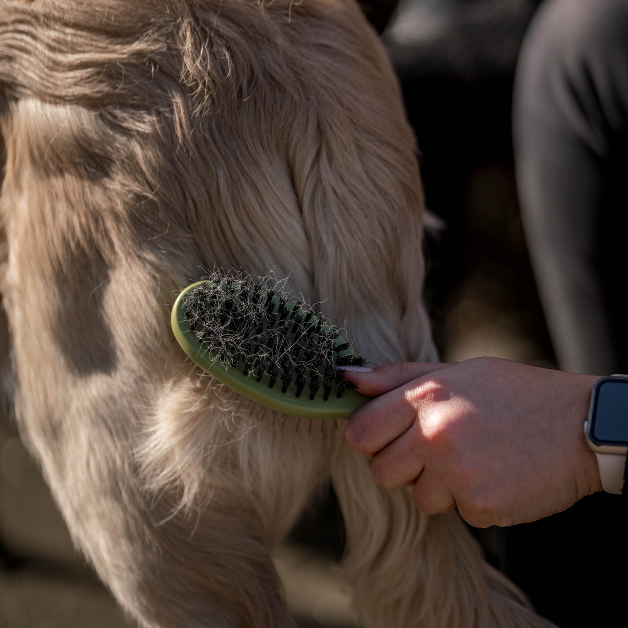 Safari® Hunde Doppelbürste | 5790001273_1.png