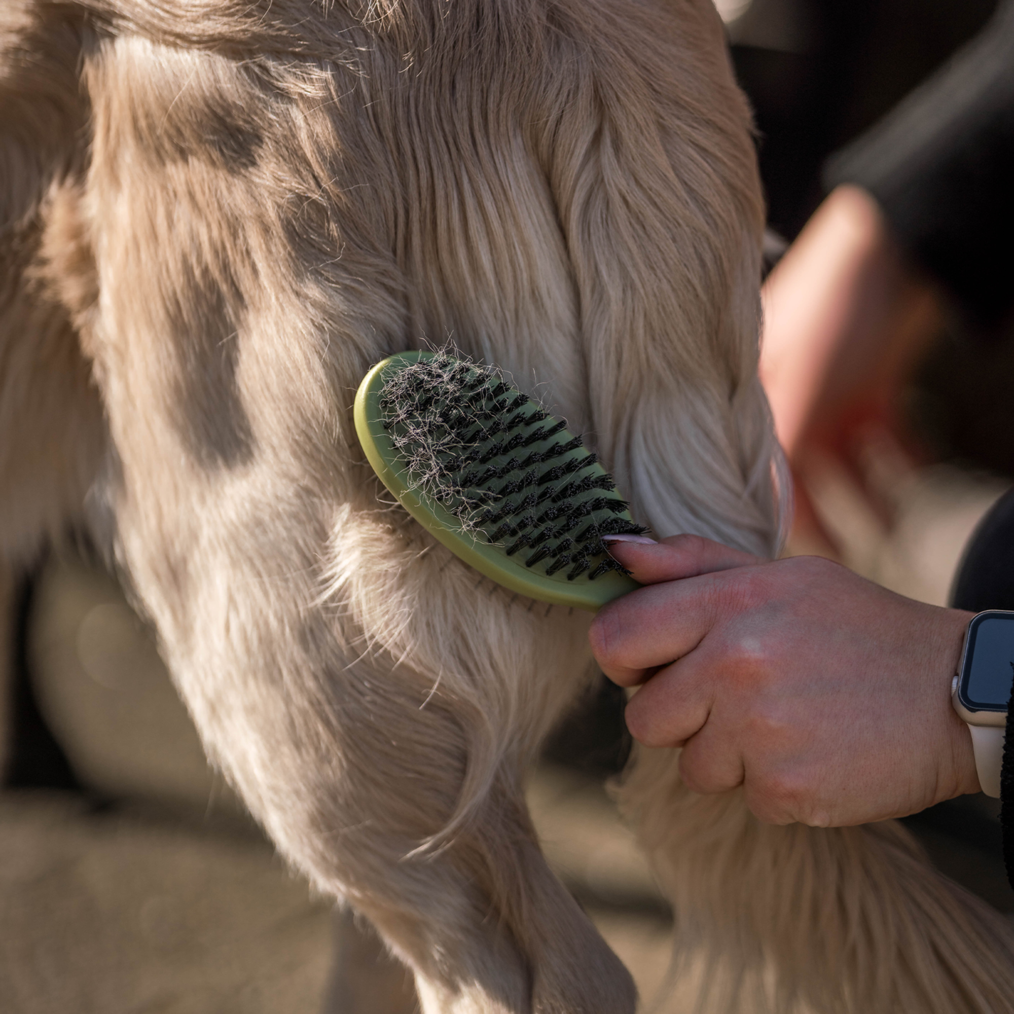 Safari® Hunde Doppelbürste | 5790001273_2.png