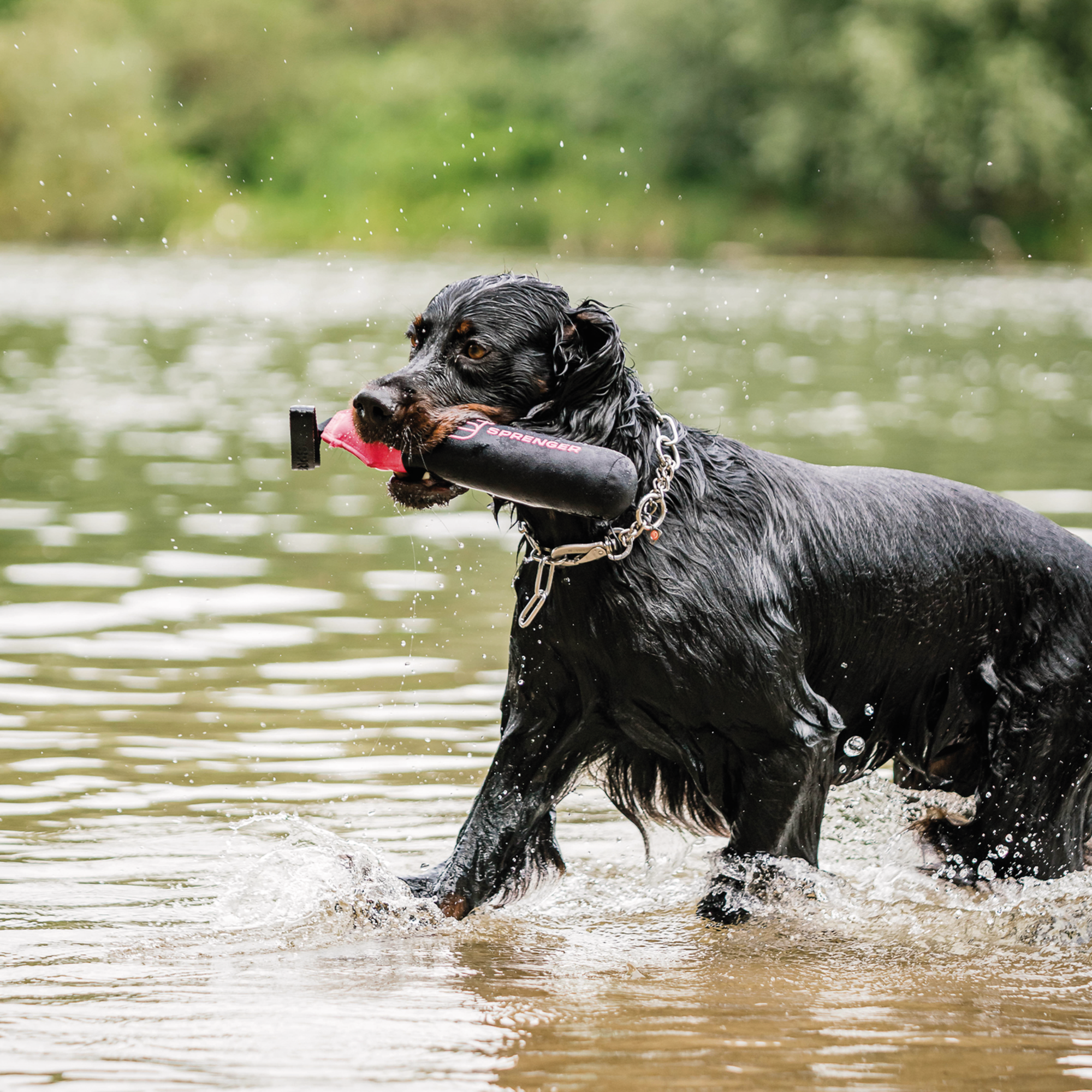 Hundespielzeug Dummy | 5818700100_10.png