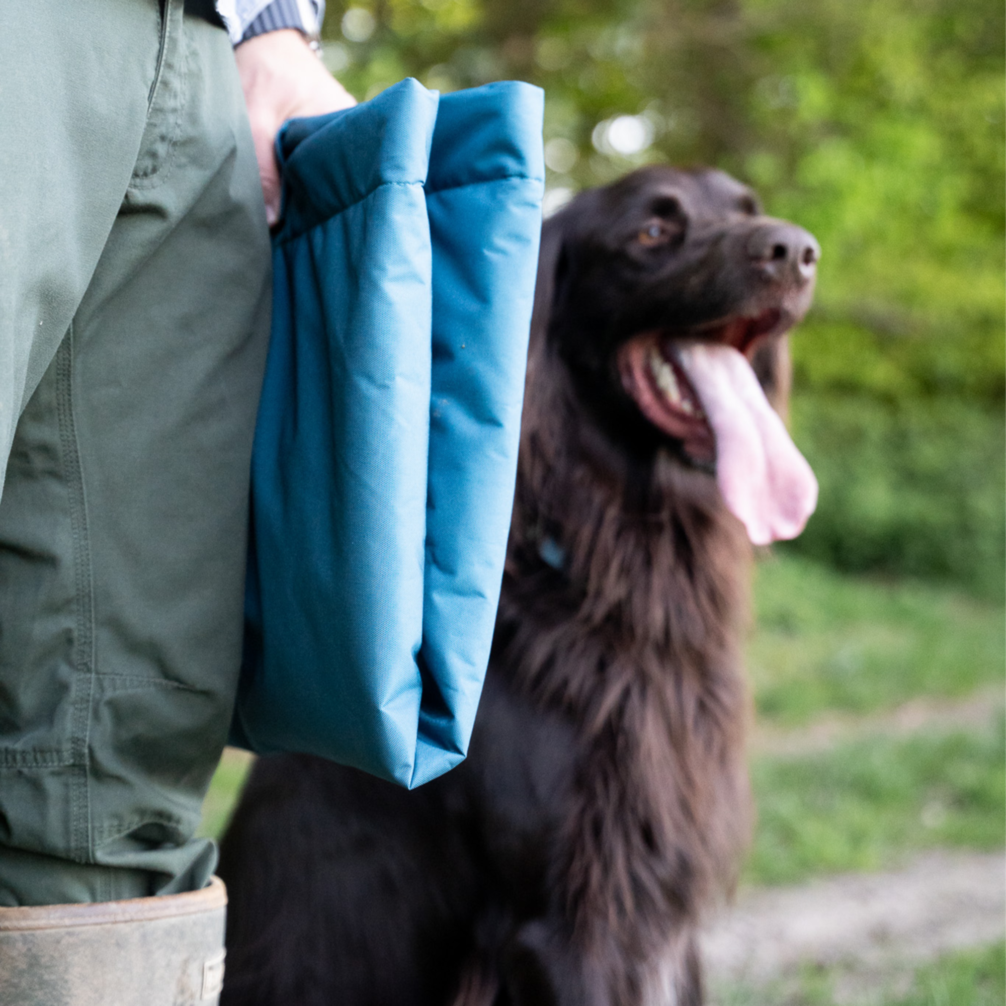 Hundematte | 5818800376_10.png