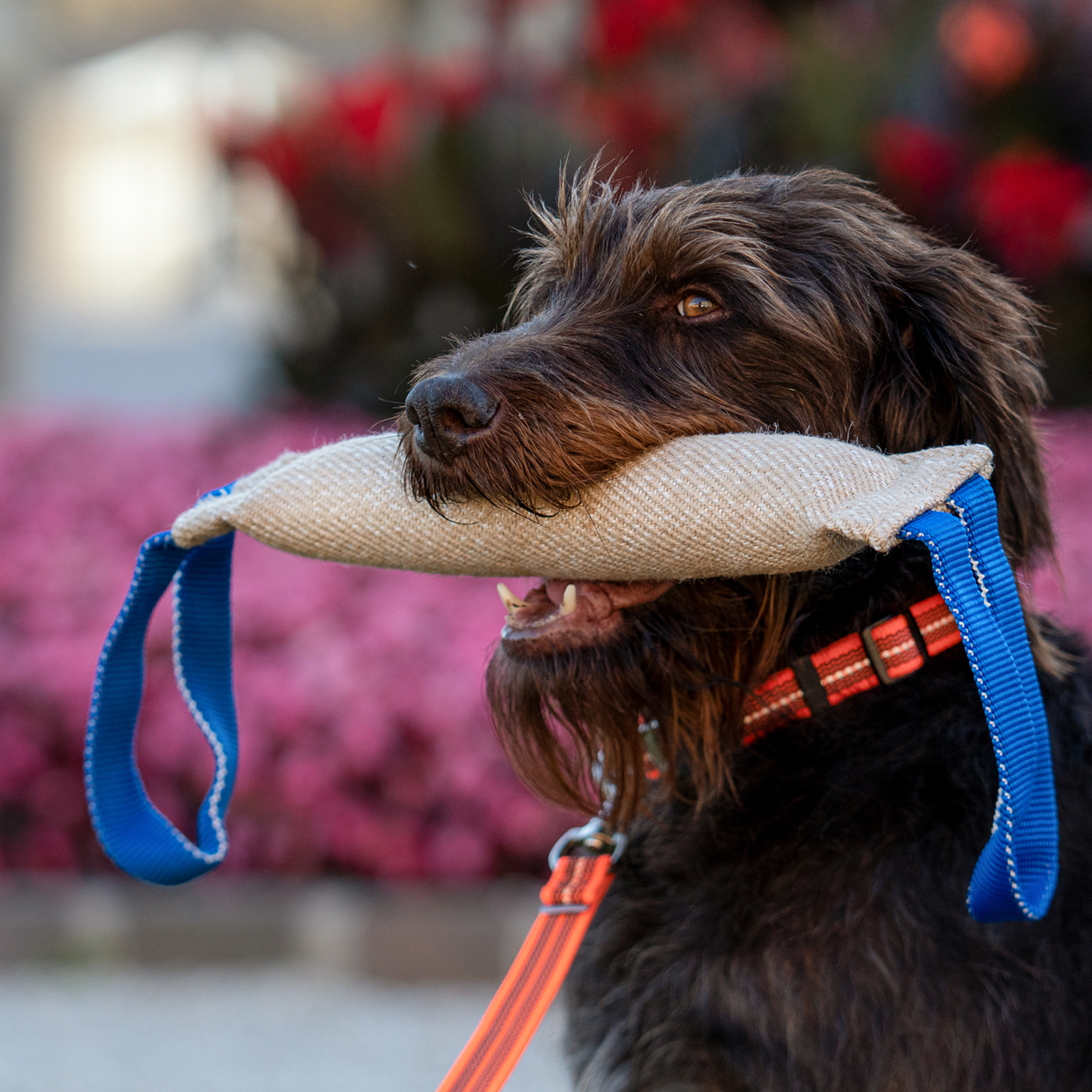 Bringsel Jute | 5819702200_10.png