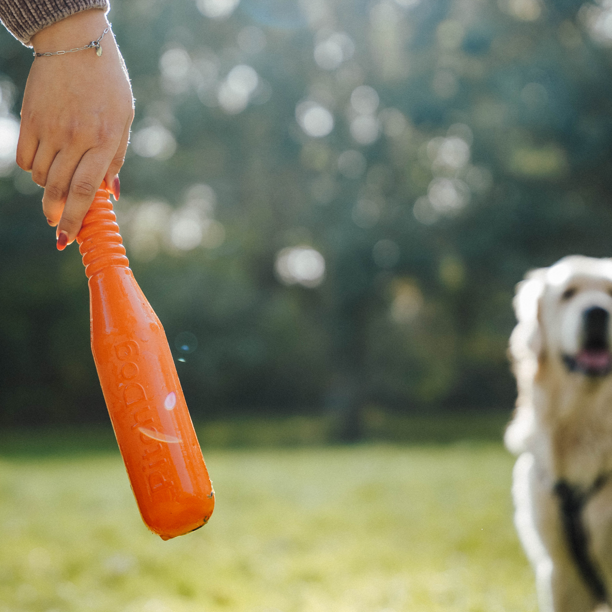 Hundespielzeug Softstick | 5819914177_1.png