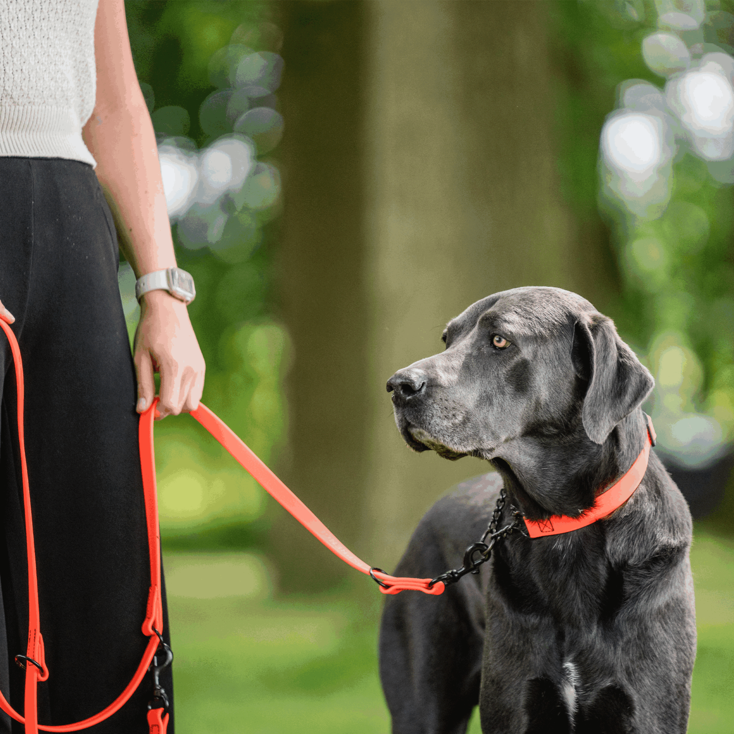 BioThane® Hundeleine 3 fach verstellbar 2.3m | 5911023077_06.png | 1731102628