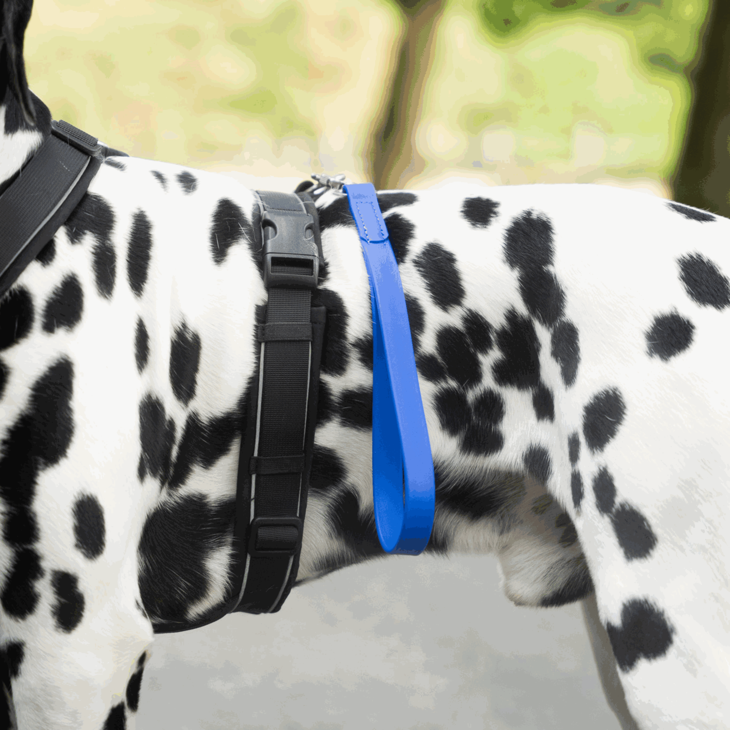 BioThane® Kurzführer | 5911203076_08.png