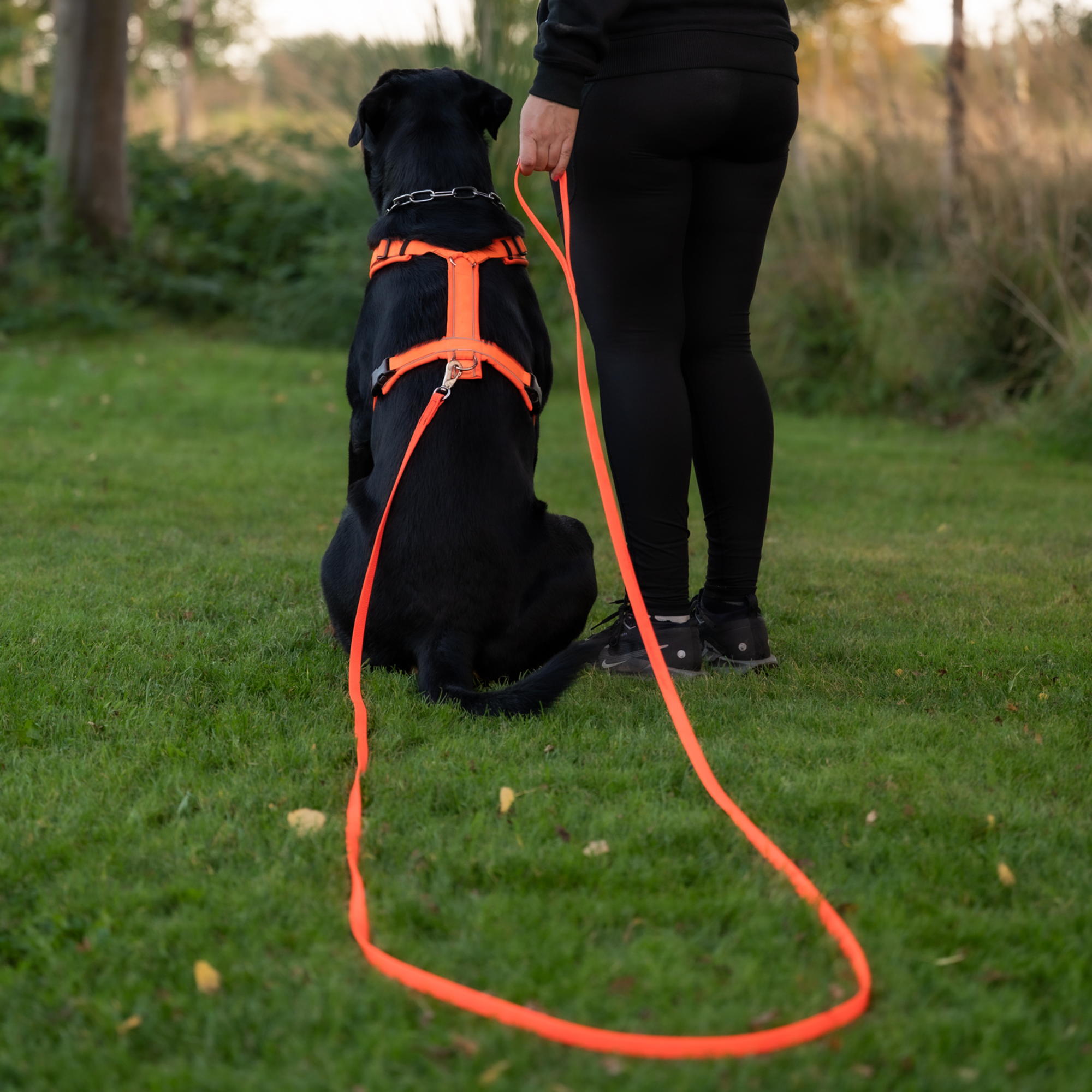 Footballgrip BioThane® Schleppleine mit Handschlaufe 5 m orange | 5911350177_2.png