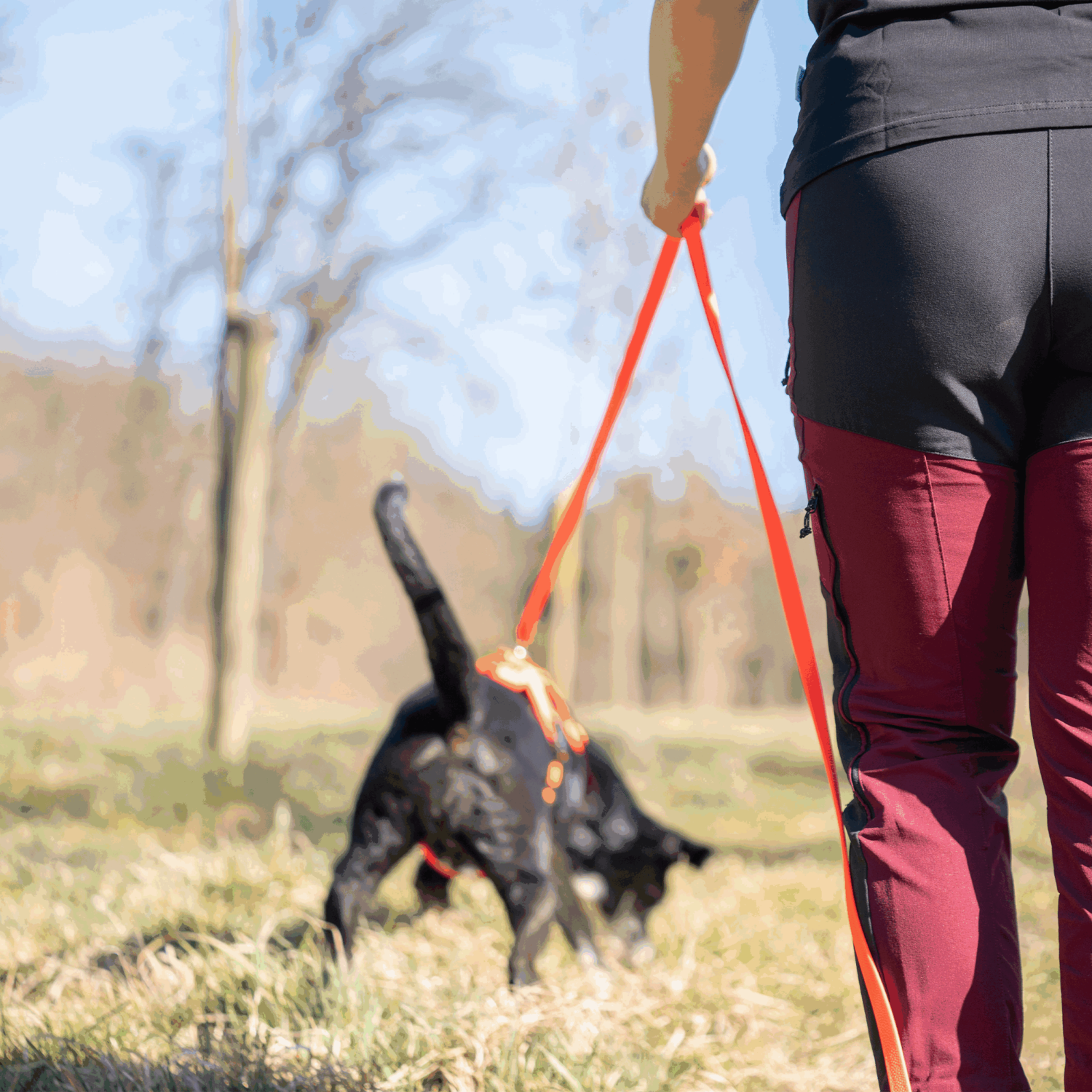 Footballgrip BioThane® Schleppleine | 59113_77_3.png | 1742904097