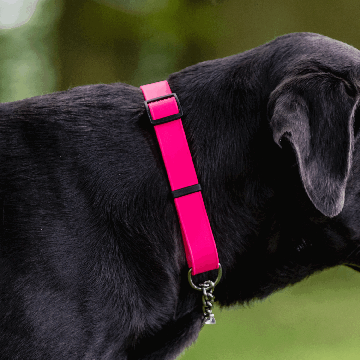 Biothane® Adjustable Halsband mit Durchzugskette 40 65cm | 5921000170_02.png | 1731102723