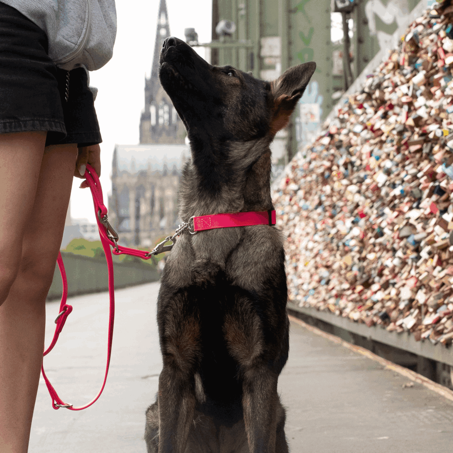 BioThane® Adjustable Halsband mit Durchzugskette 40 65cm | 5921000170_09.png