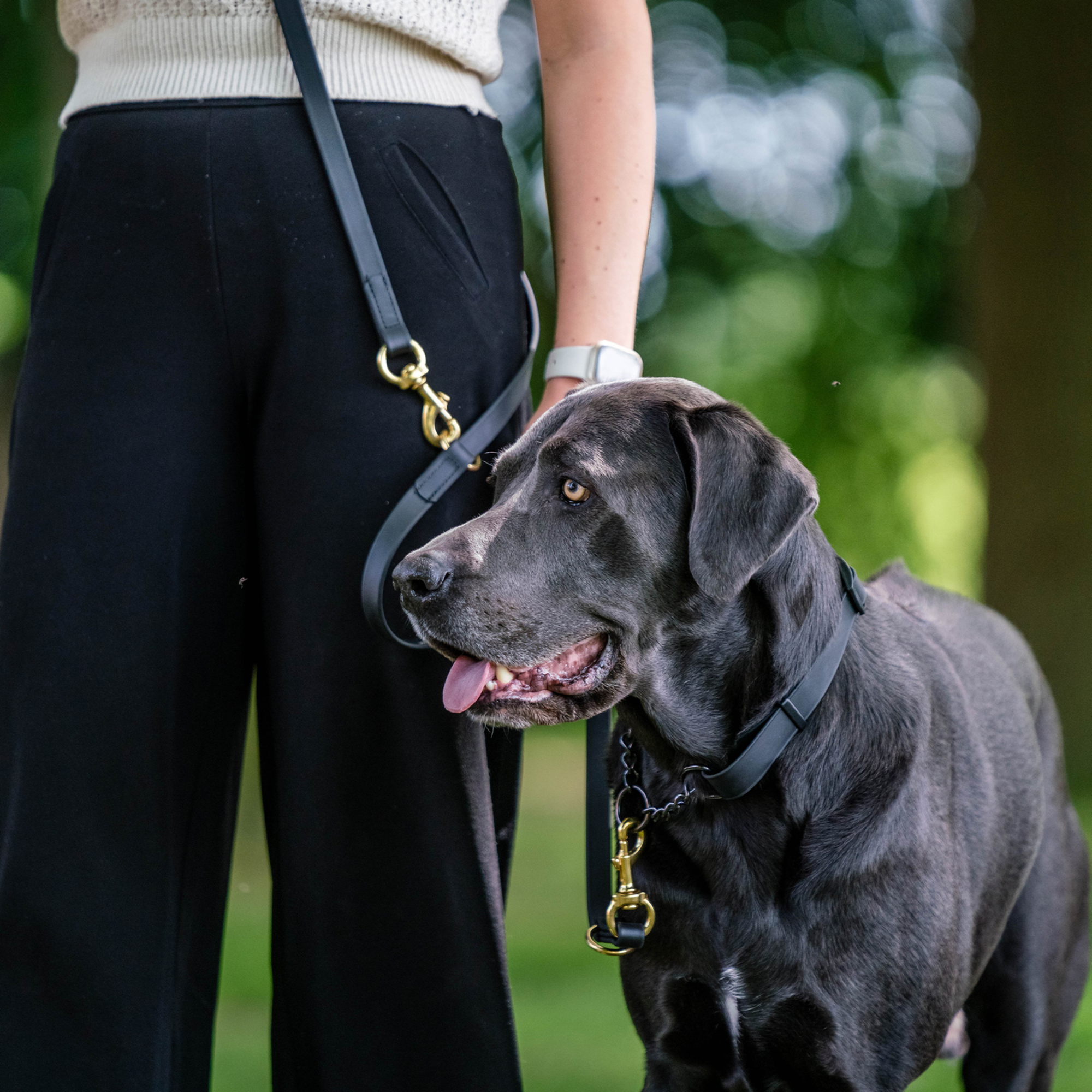 BioThane® Adjustable Halsband mit Durchzugskette 40 65cm | 5921000171_1.png