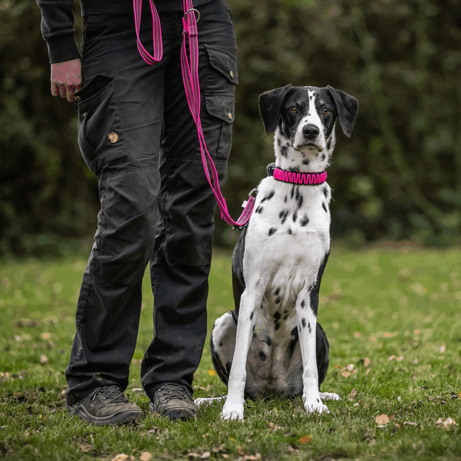 Gummierte Leine 3 fach verstellbar | 5923023070_8.png