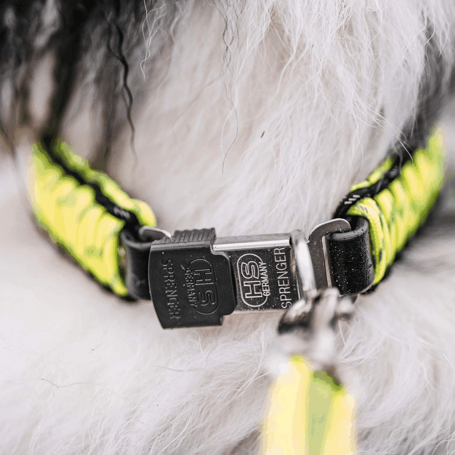 PARACORD Halsband reflektierend | 59341_1.png | 1731102833