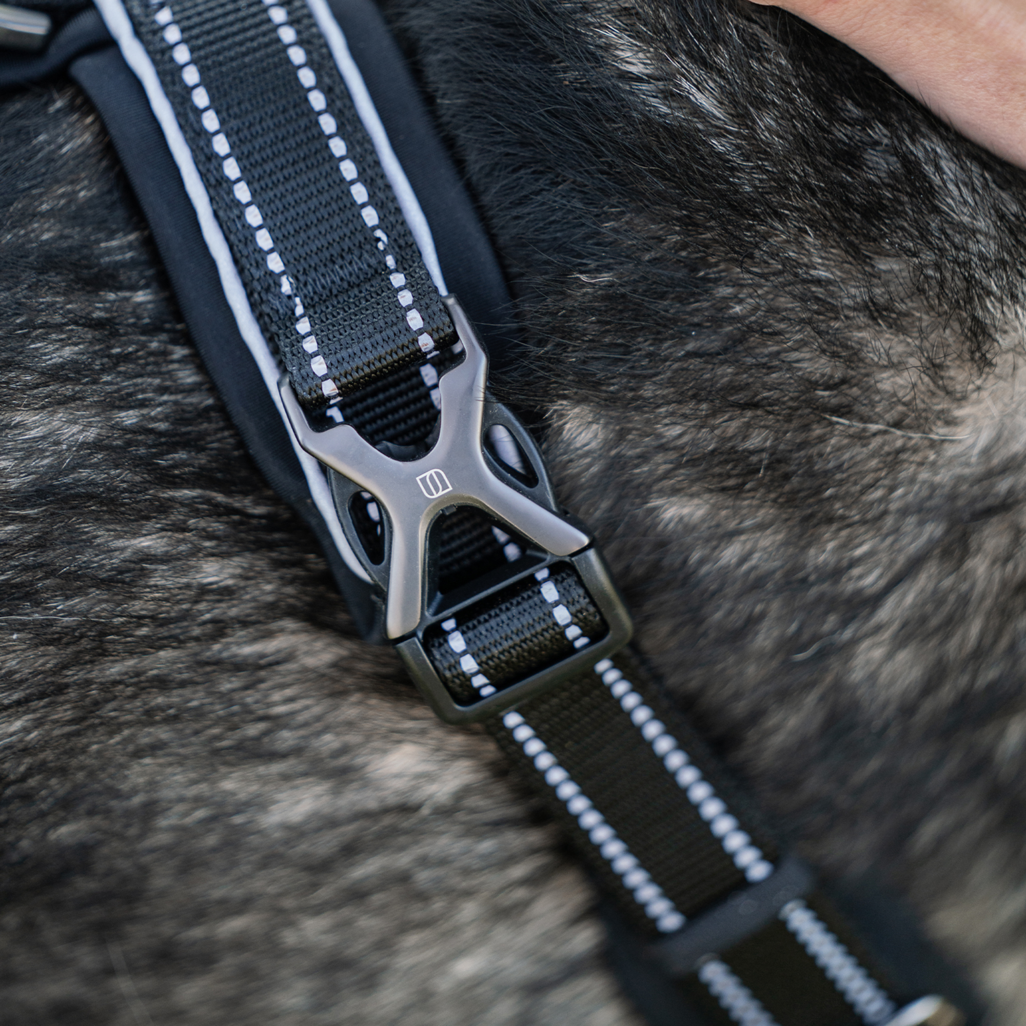 Hundegeschirr Y Geschirr | 59541-71_17.png