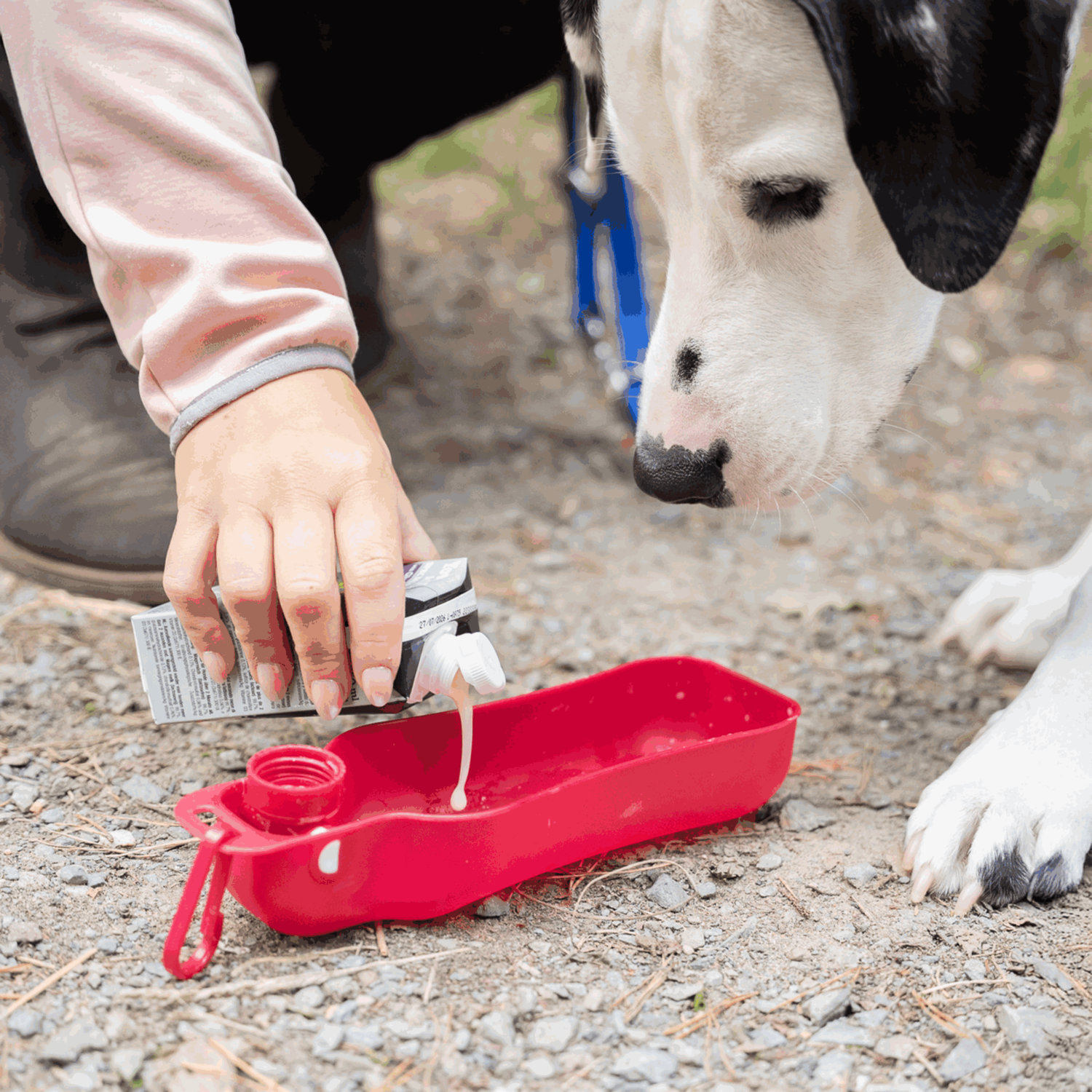 YowUp! Hunde Milch SPECIAL BONES 250ml (Box 12 Stück) | 5997000100_03.png