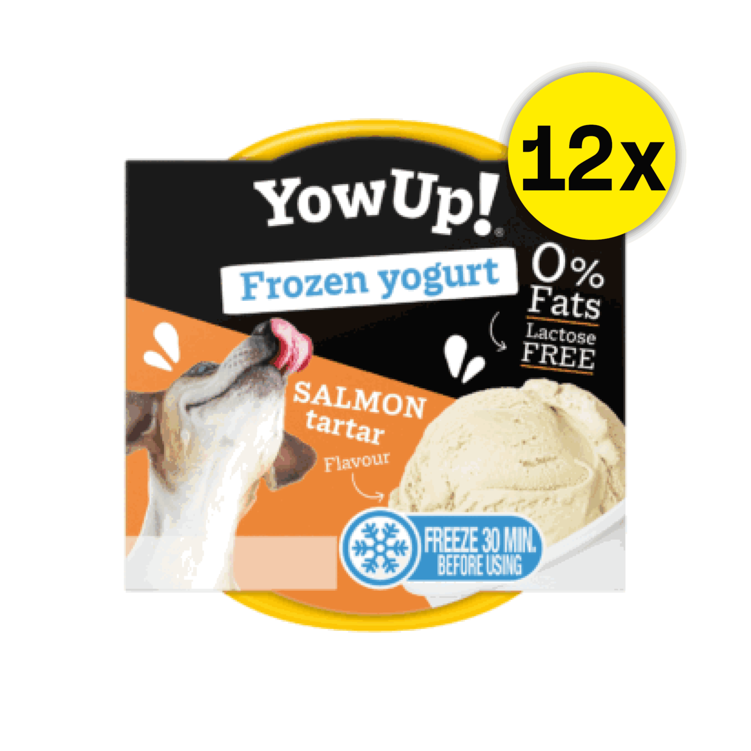 frozen joghurt aufbewahren YowUp! Hunde-Frozen Yogurt