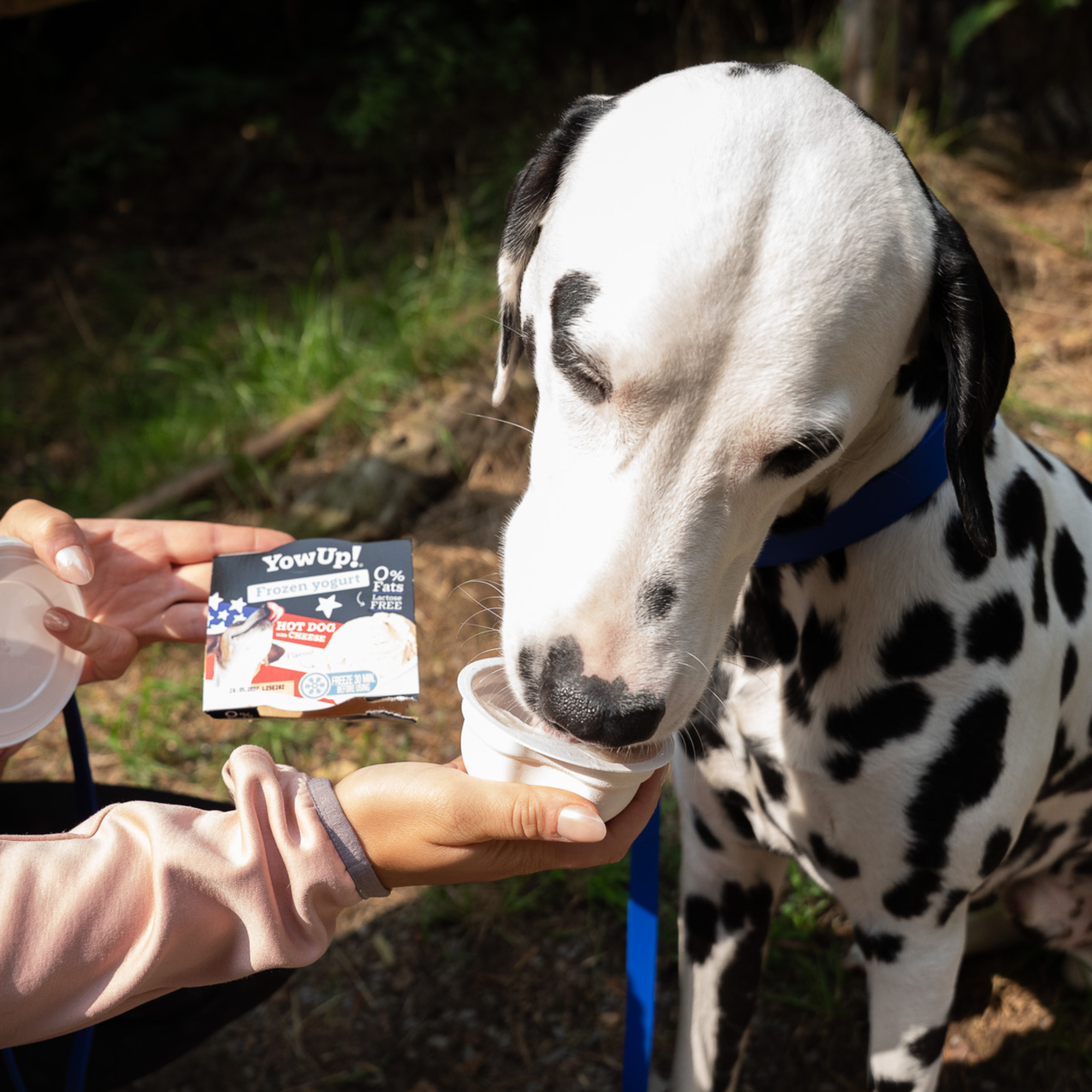 YowUp! Hunde Frozen Yogurt 110g (Box 12 Stück) | 5998000400_1.png