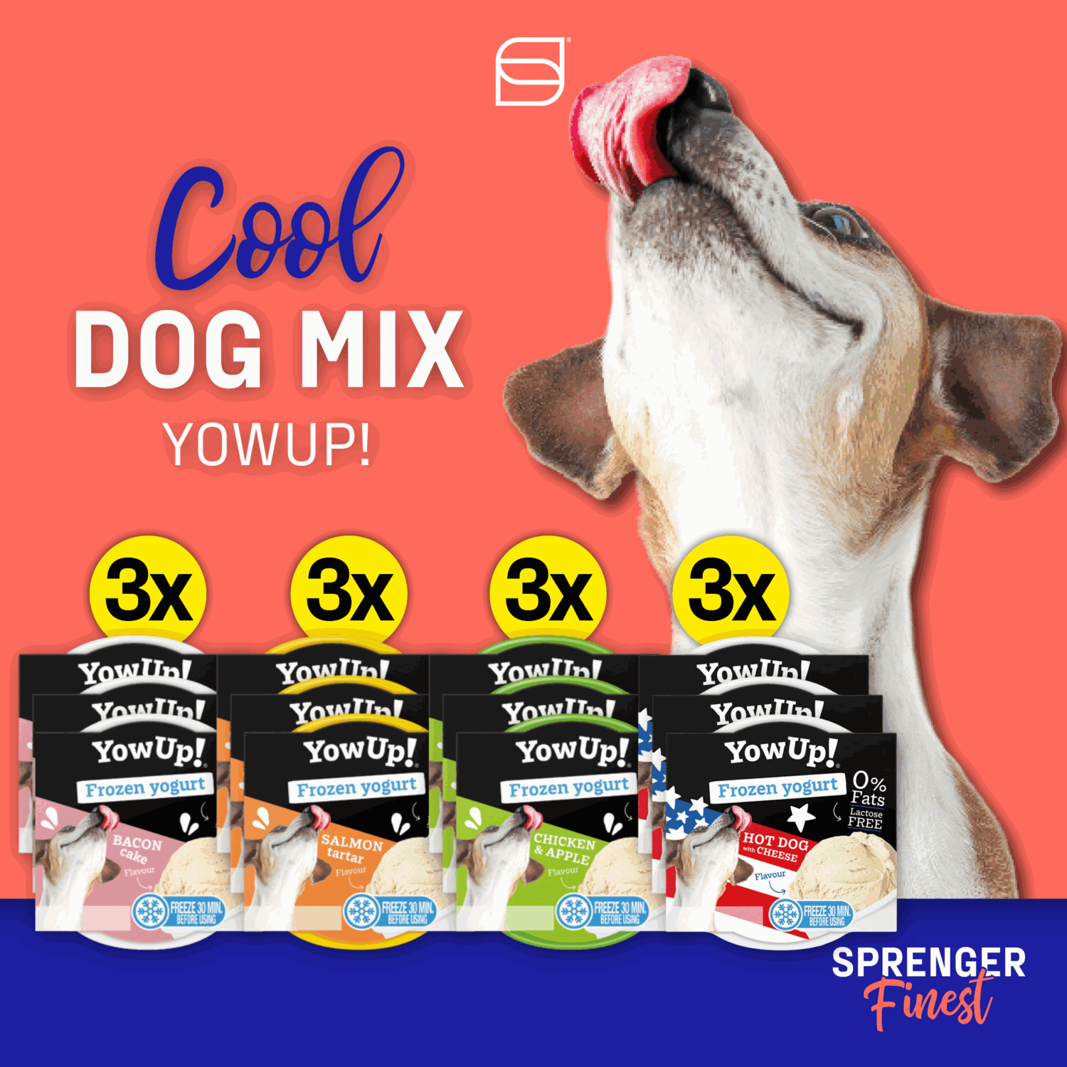 YowUp! Hunde Frozen Yogurt 110g (Box 12 Stück) | 5998000900.png