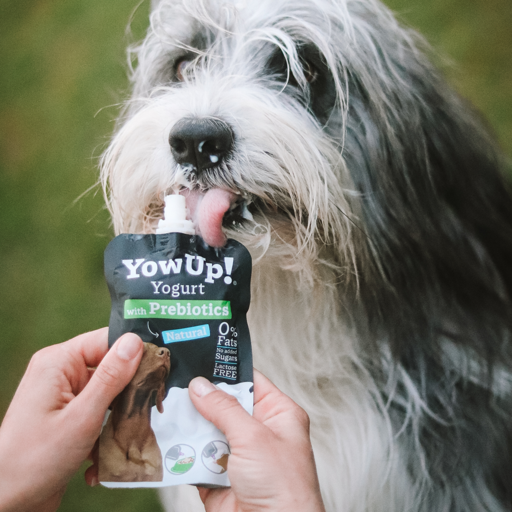 YowUp! Bundle – Frozen Yogurt & Joghurt Mixed Selection (12+10 Stück) | 5999000100_03.png