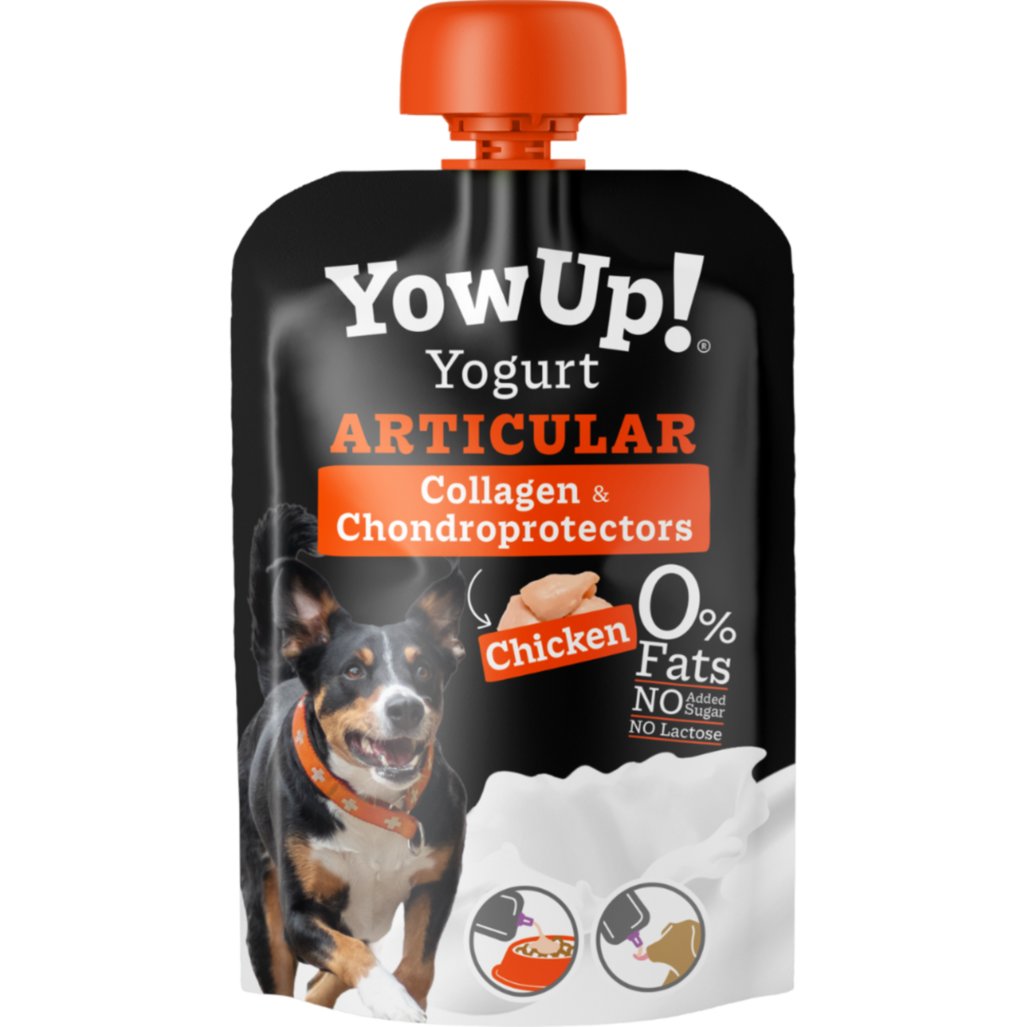 YowUp! Bundle – Frozen Yogurt & Joghurt Mixed Selection (12+10 Stück) | 5999000200.png