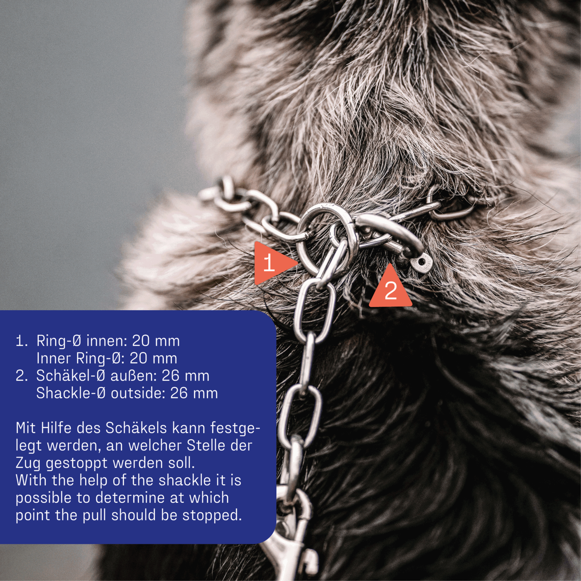 SPRENGER Klassiker Bundle | Hundesport_Bundle_23.png
