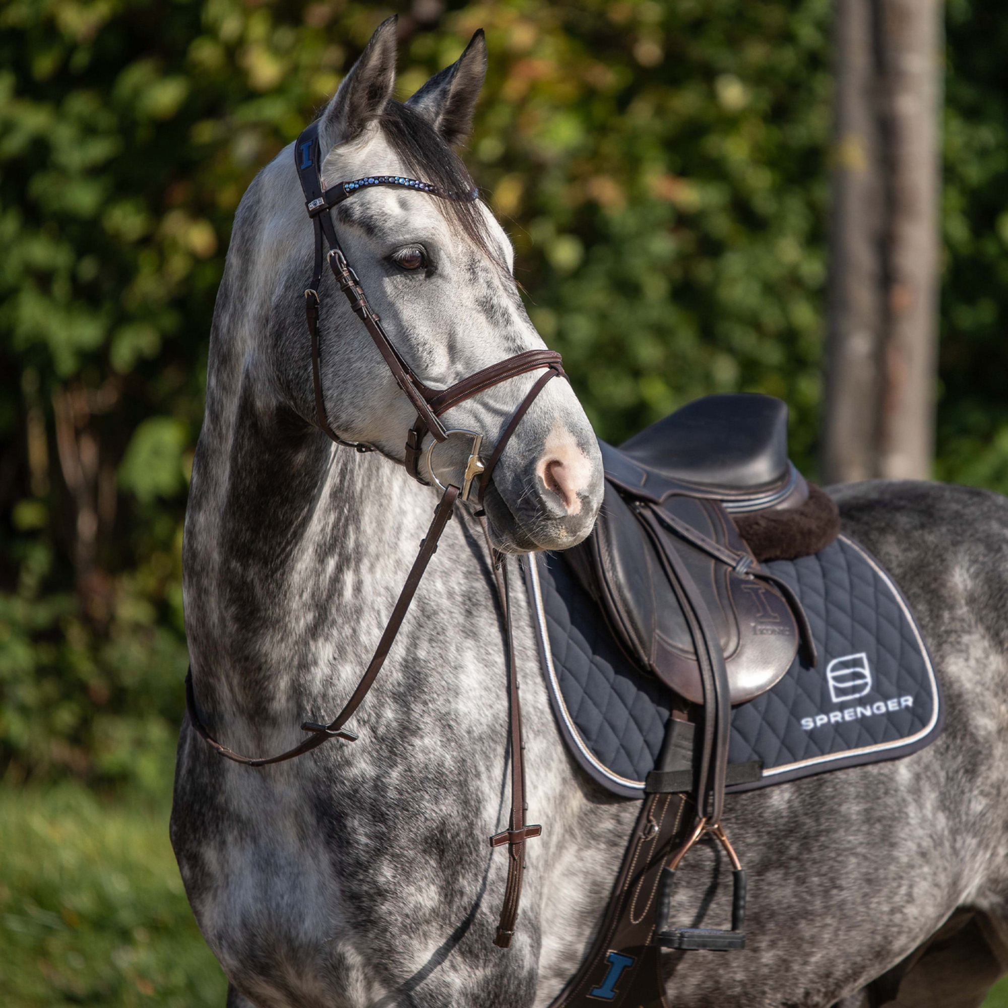 Dynamic RS Hunter Jumper D Ring 14 mm doppelt gebrochen | Hunter_Jumper_01.png