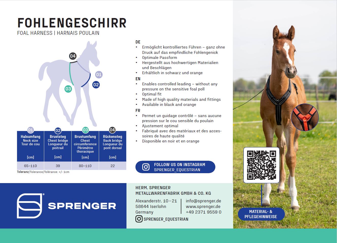 Fohlengeschirr Maße messen