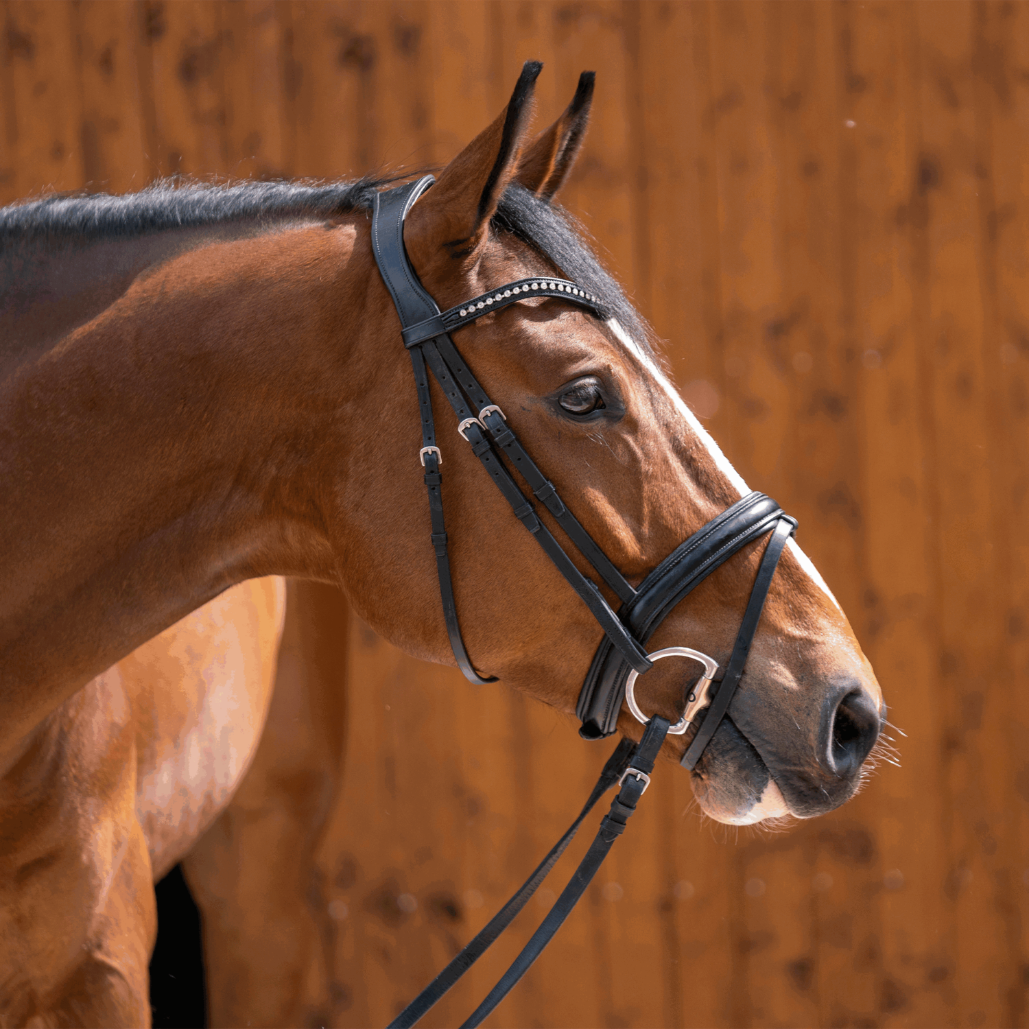 Dynamic RS Olivenkopfgebiss mit D förmigem Ring 16 mm einfach gebrochen | Olive_D-Ring_03.png