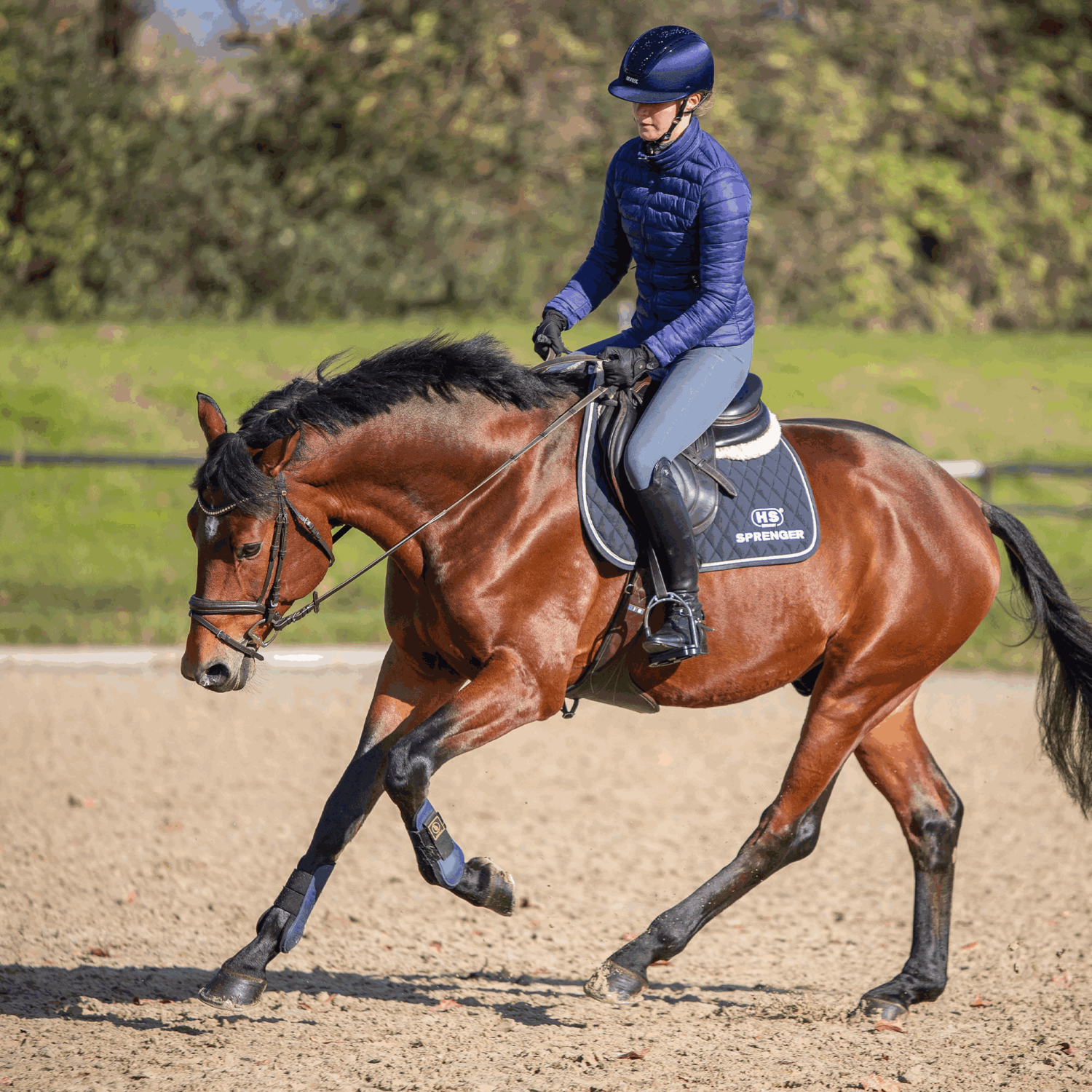 novocontact Olivenkopfgebiss mit D förmigem Ring einfach gebrochen Sensogan | Olive_D-Ring_05.png