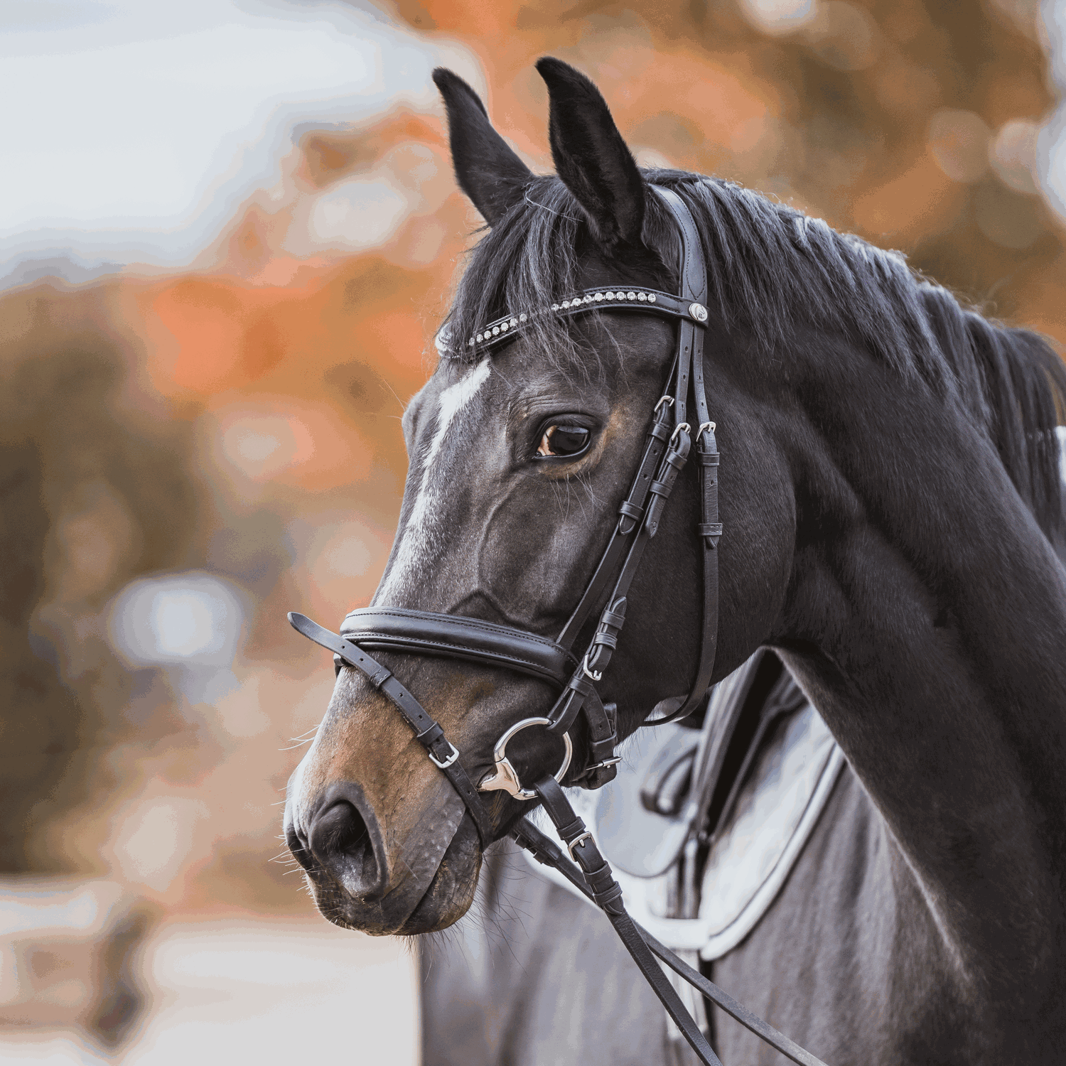 KK ULTRA Olivenkopf 14 mm SENSOGAN | Olivenkopf_01.png