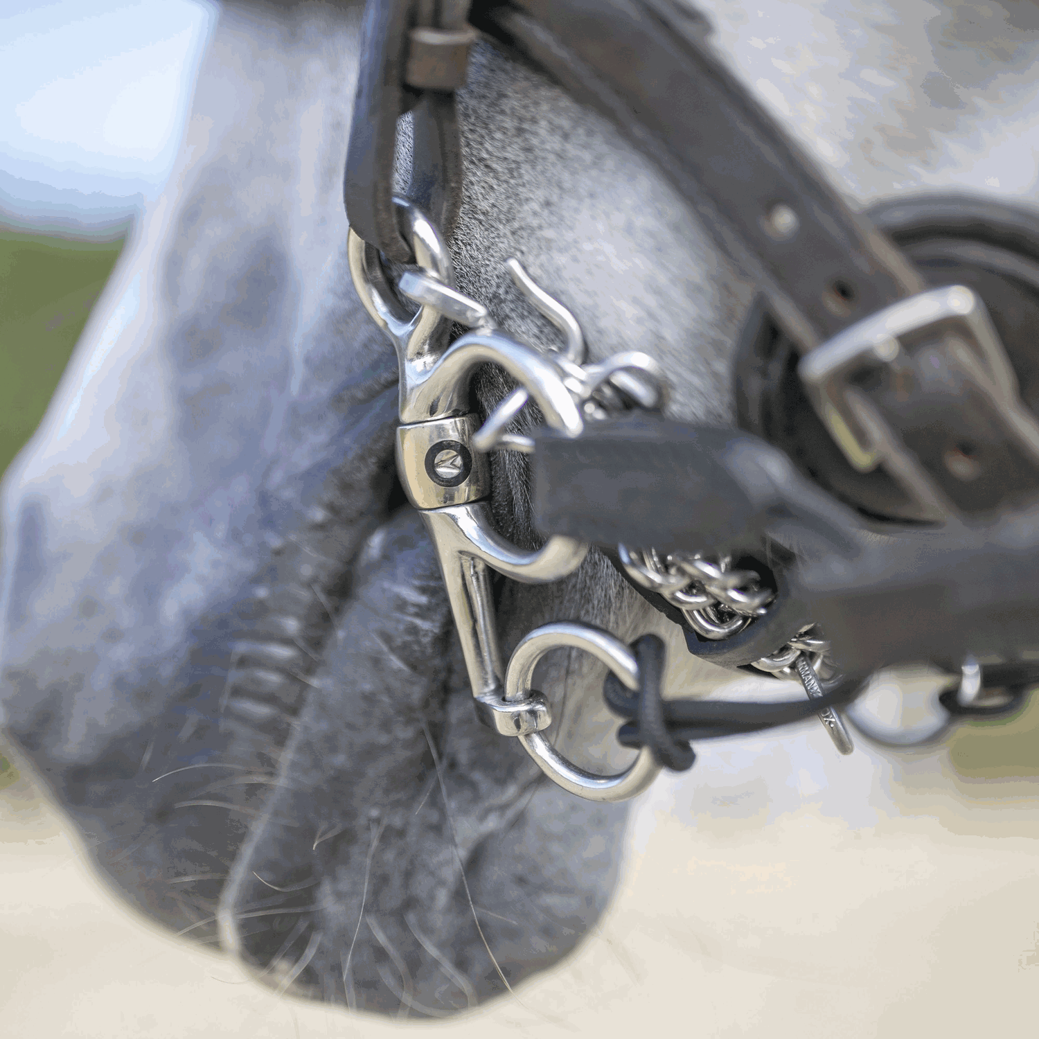 CM Pelham 16 mm starre Stange mit Zungenfreiheit Sensogan | Pelham_Einsatz.png