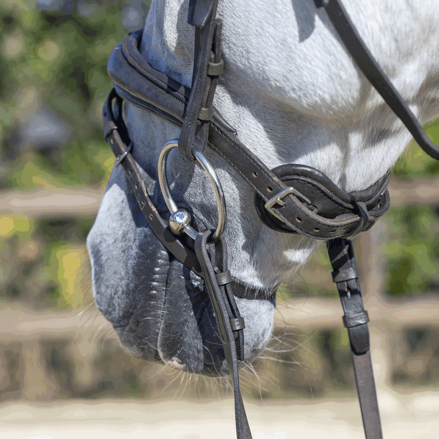 KK ULTRA Shinebright Wassertrense | Shine_Bright_Einsatz.png | 1731064740