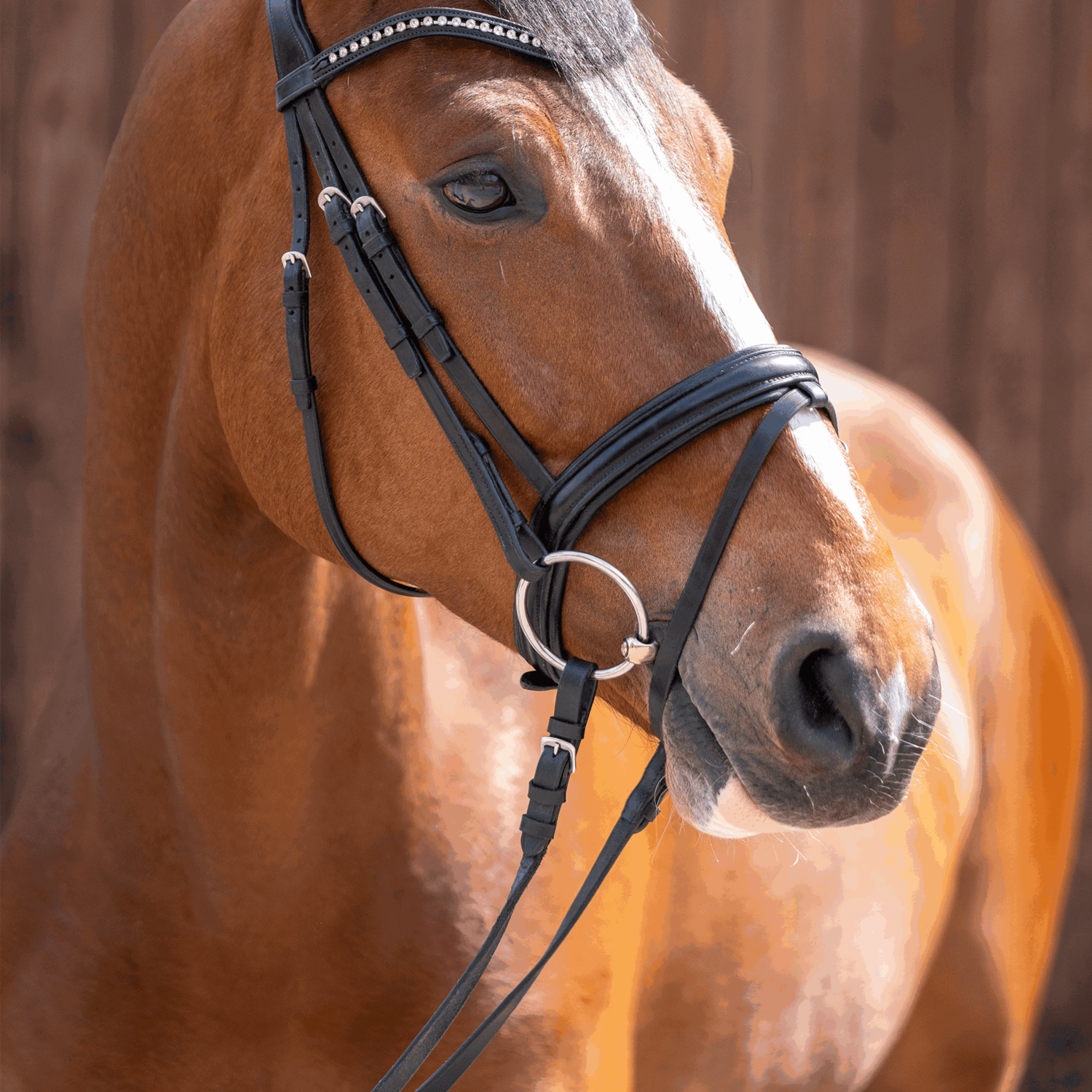 WH Ultra 14 mm Sensogan | Wassertrense_21.png | 1731066036