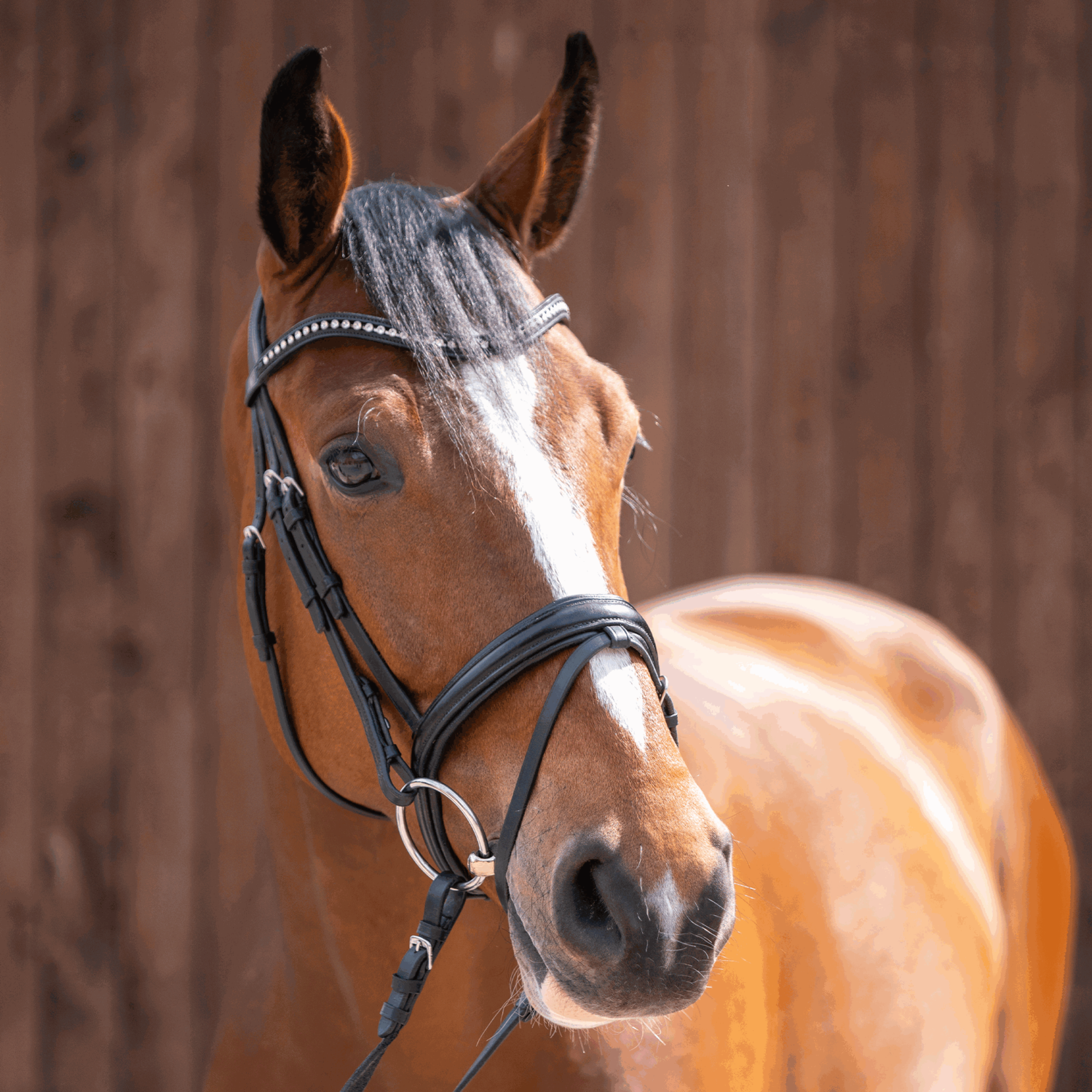 novocontact Loose Ring snaffle 16 mm single jointed novocontact Loose Ring snaffle 16 mm single jointed