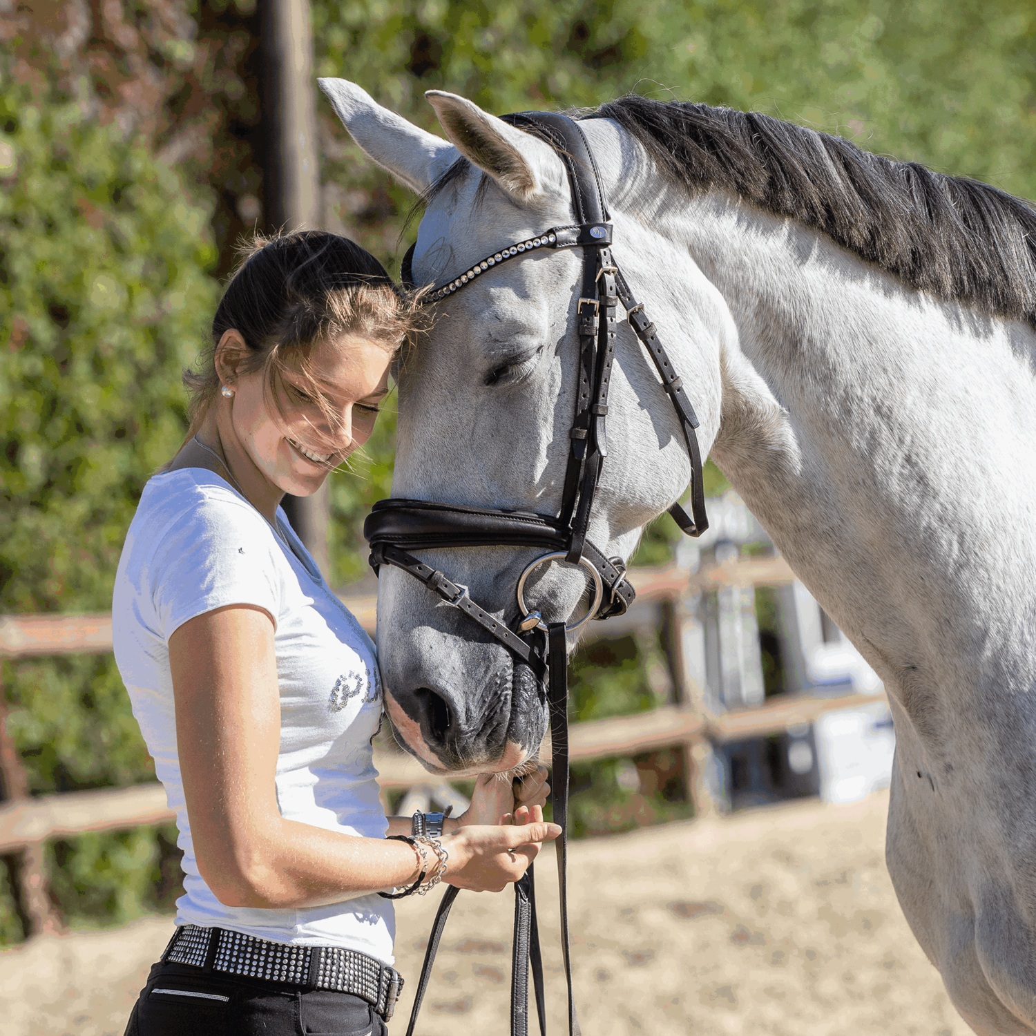 weißes Pferd mit Wassertrense und Frau