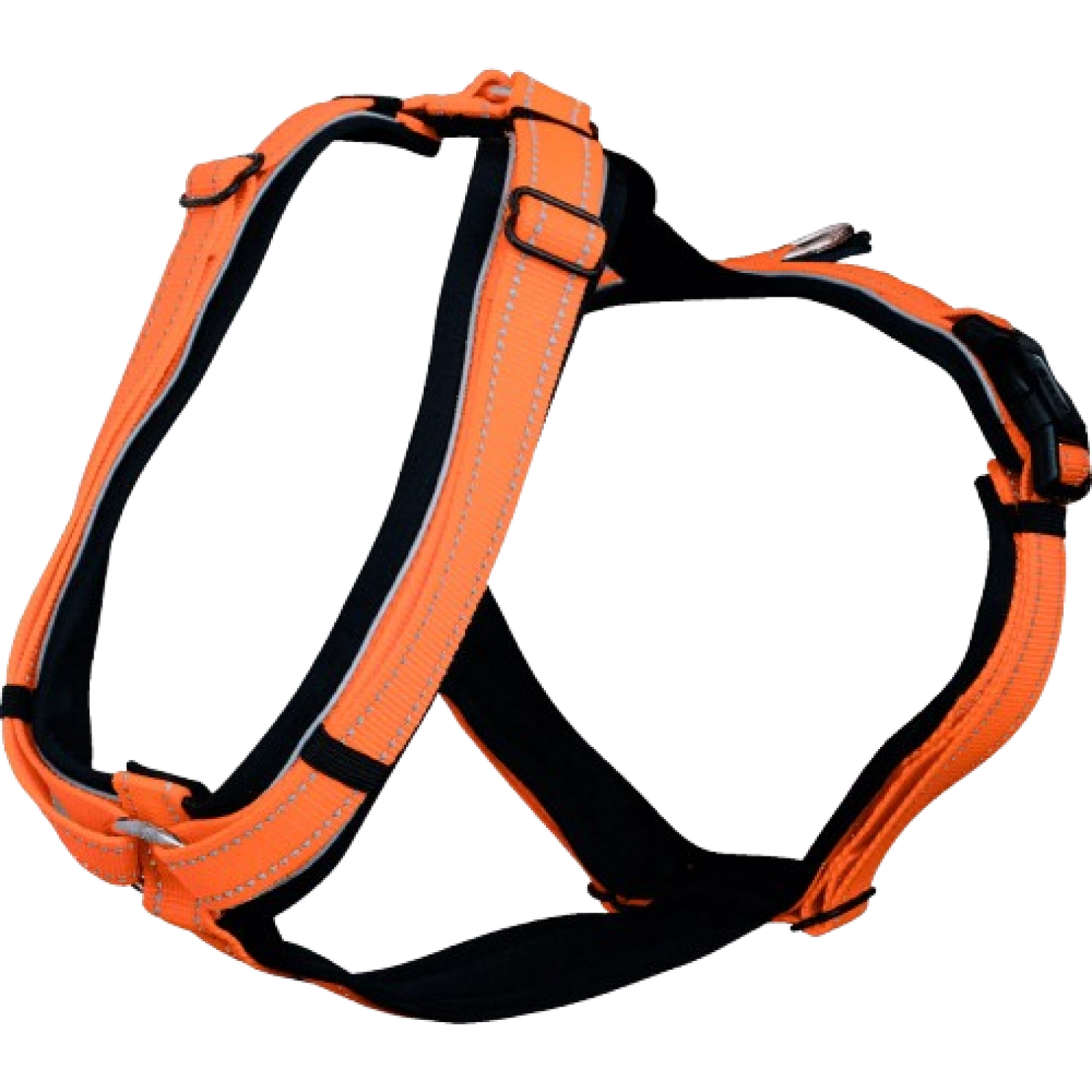 Fohlengeschirr Orange